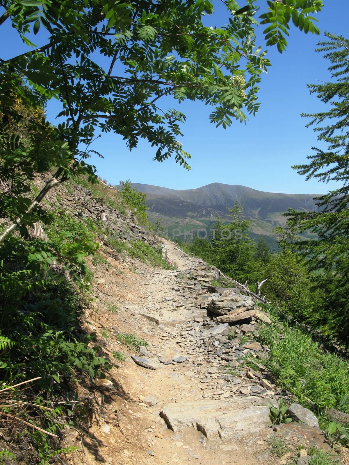 a rock covered path or trail on the side of a mountain
