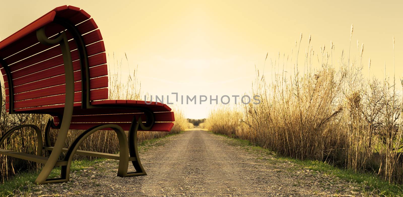 surreal image of park bench on the way. Travel Concept