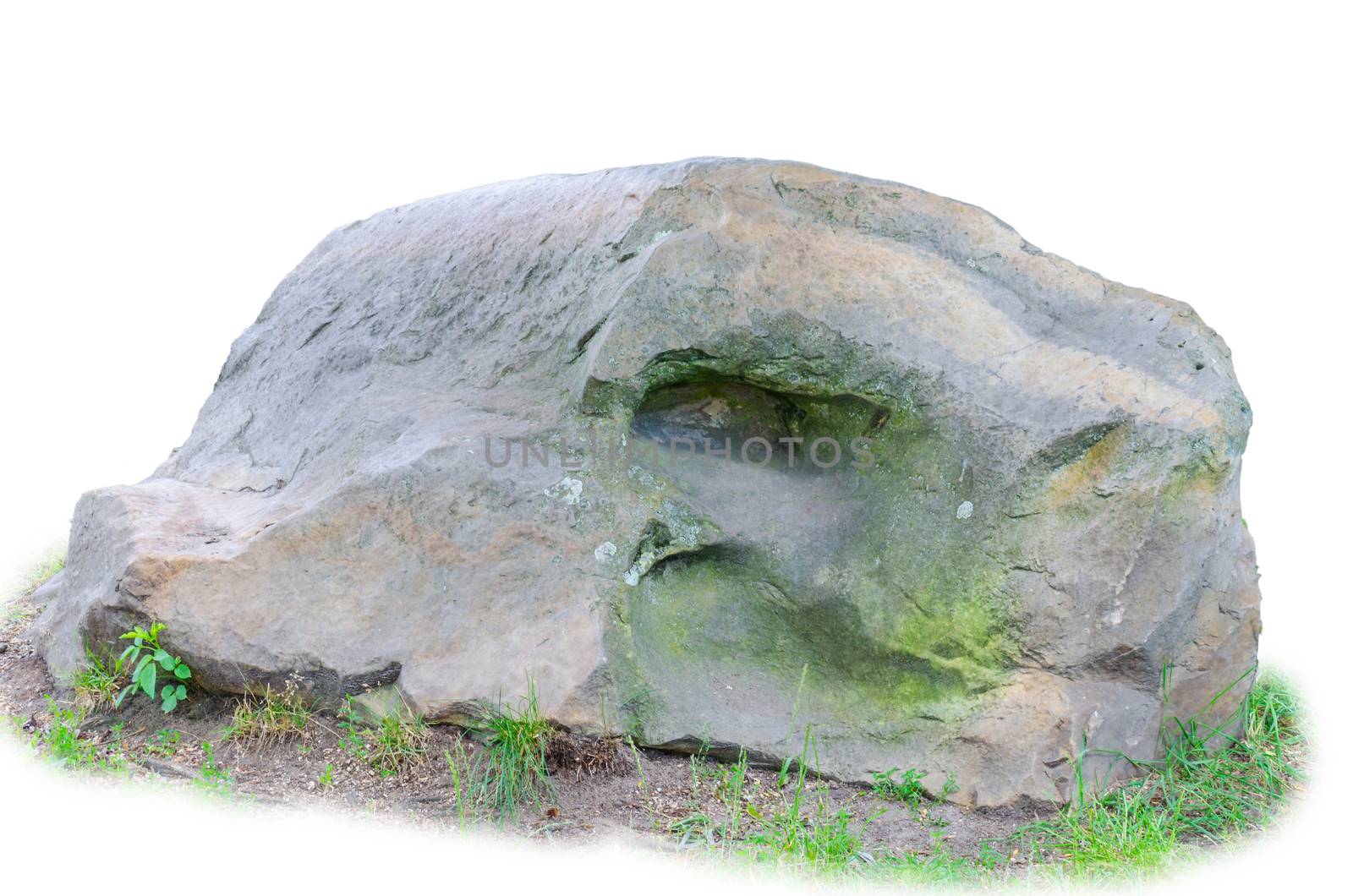 Snakes, reptiles head, stone, geological phenomenon that has formed through erosion, isolated on a white background.