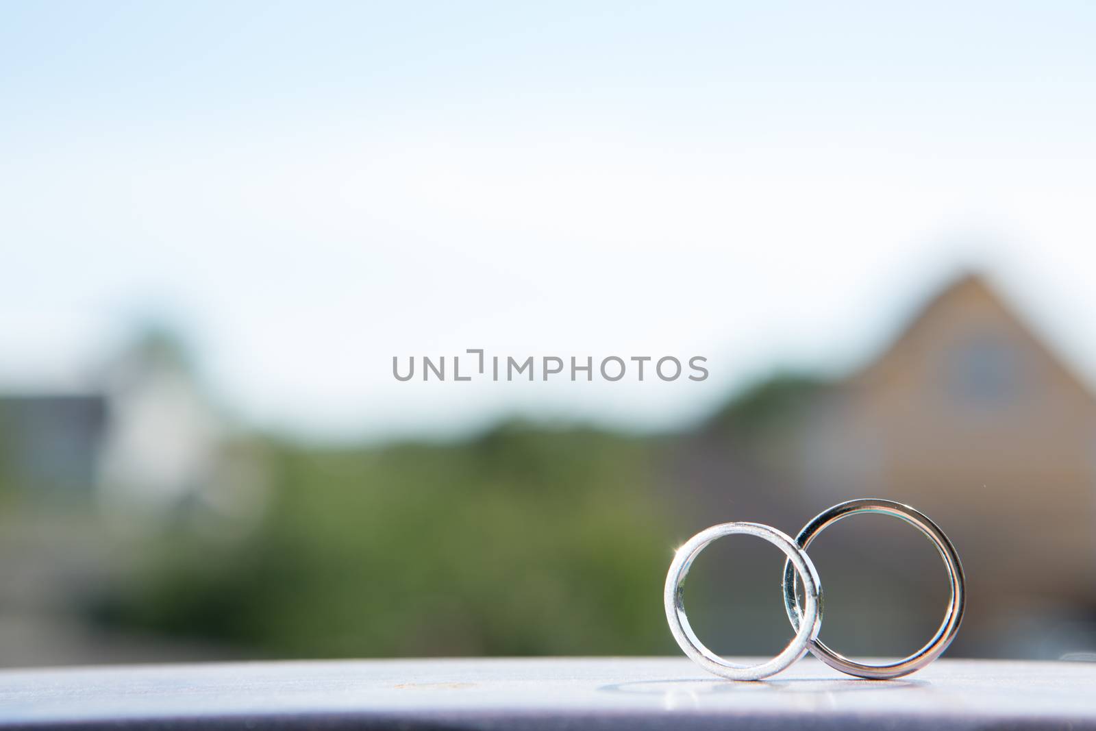 Wedding rings by sarymsakov