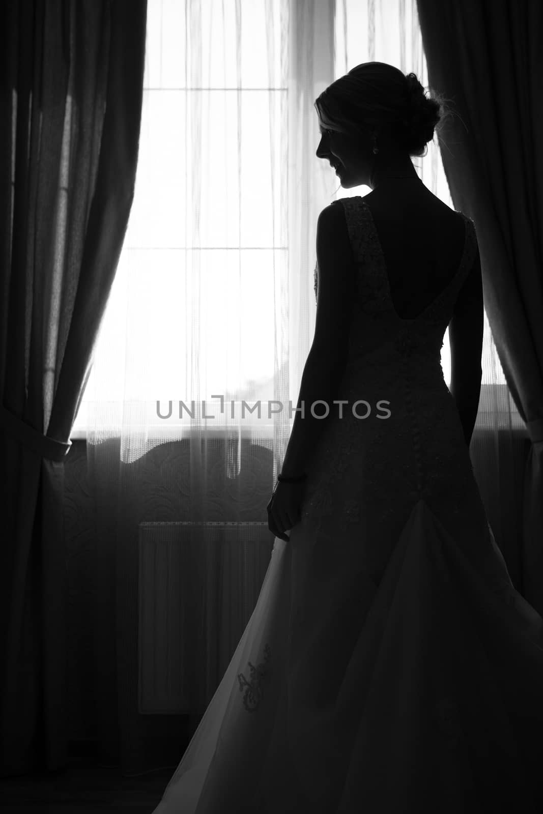 Portrait of beautiful bride. Wedding dress. Wedding decoration