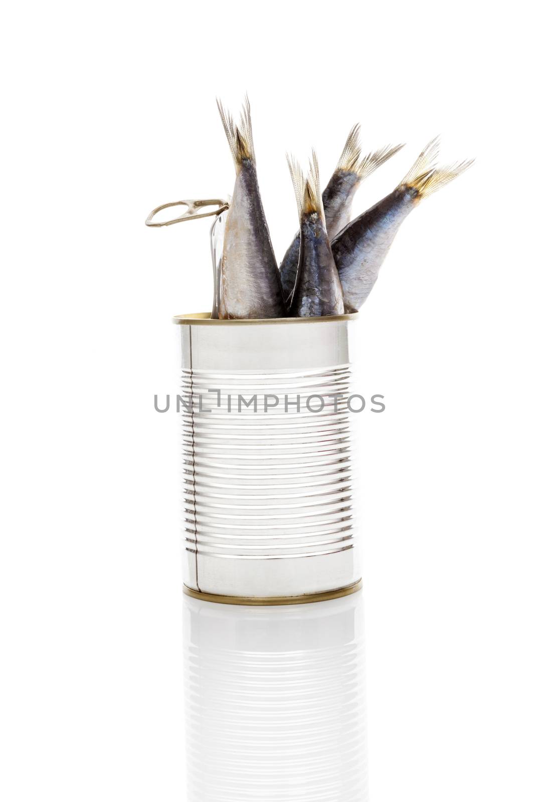 Sardines in open can isolated on white background. Culinary seafood eating. 