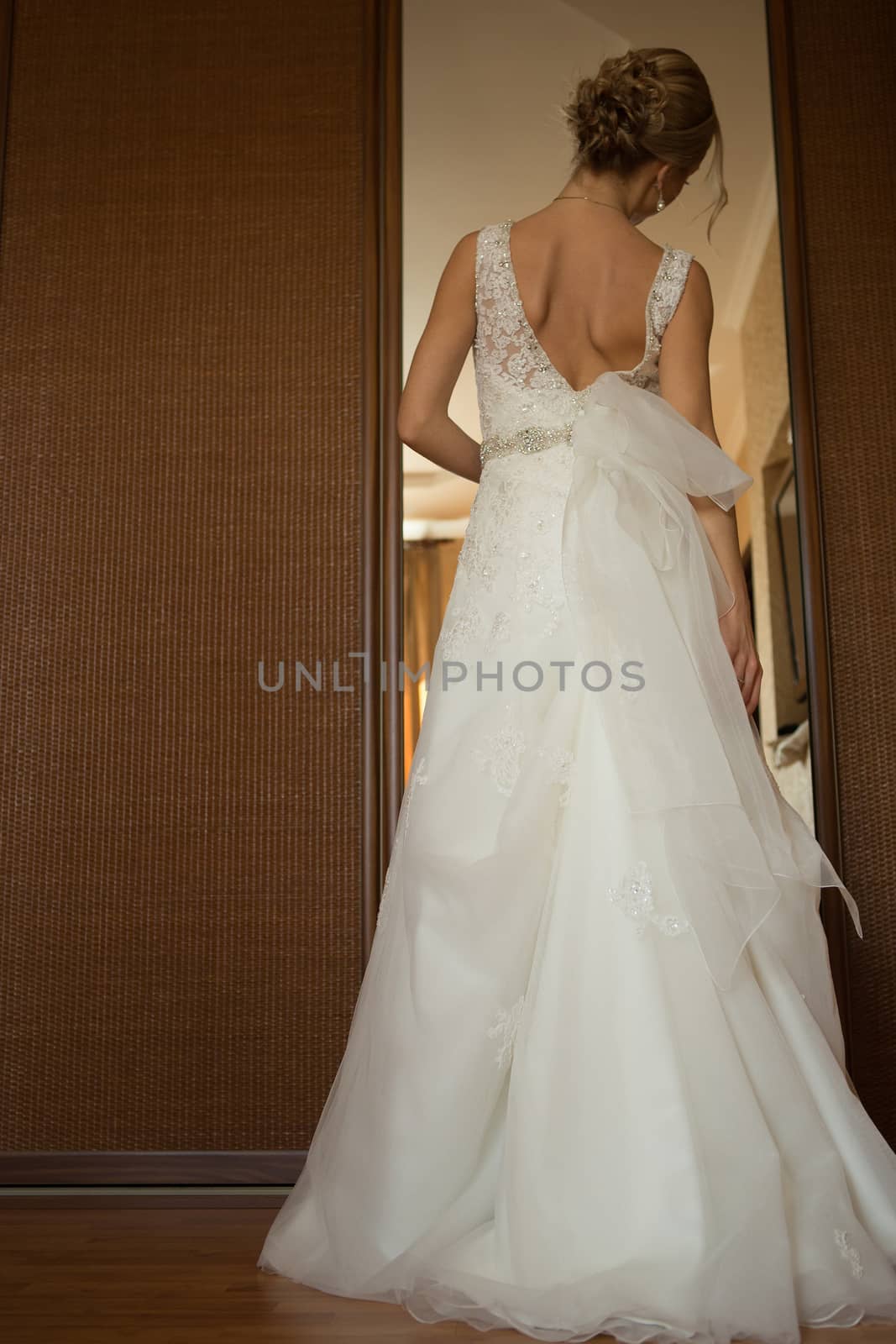 Portrait of beautiful bride. Wedding dress. Wedding decoration