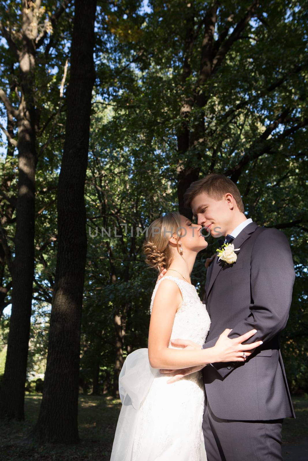 Beautiful wedding couple is enjoying wedding in the sun. 