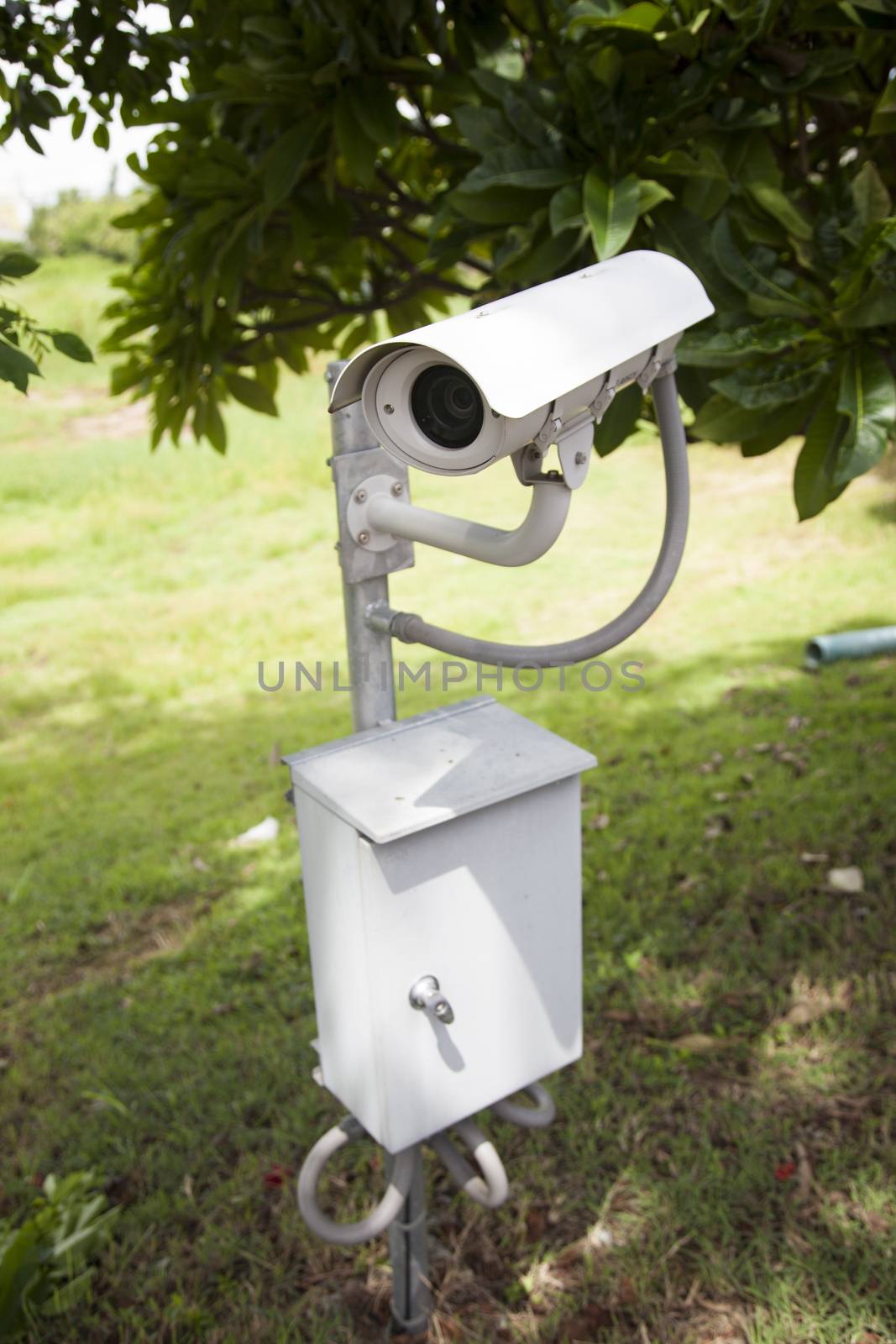 CCTV. Mounted a pole on the lawn. To secure the entrances.