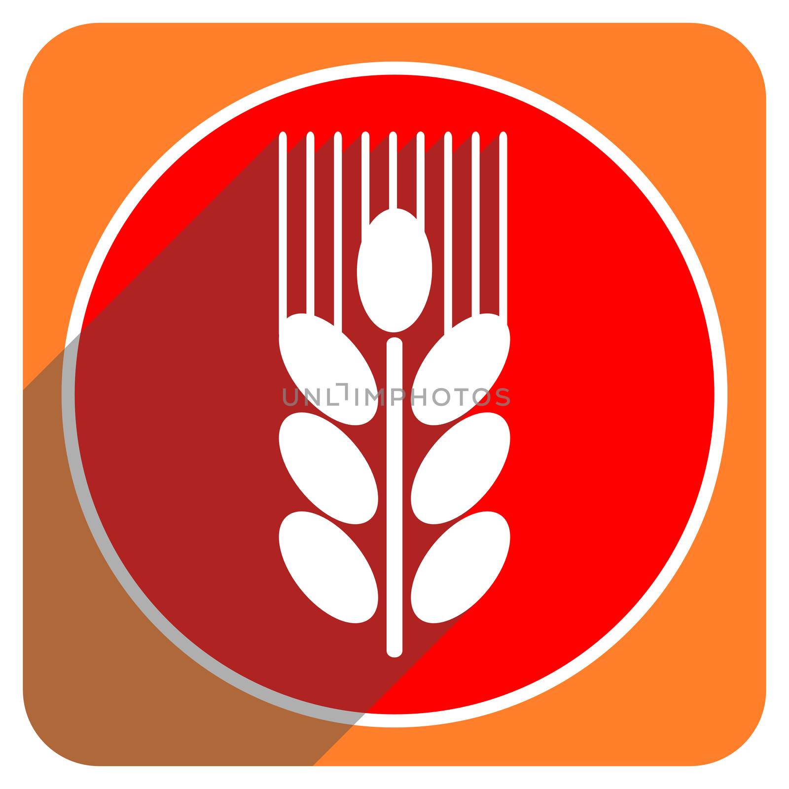 grain red flat icon isolated