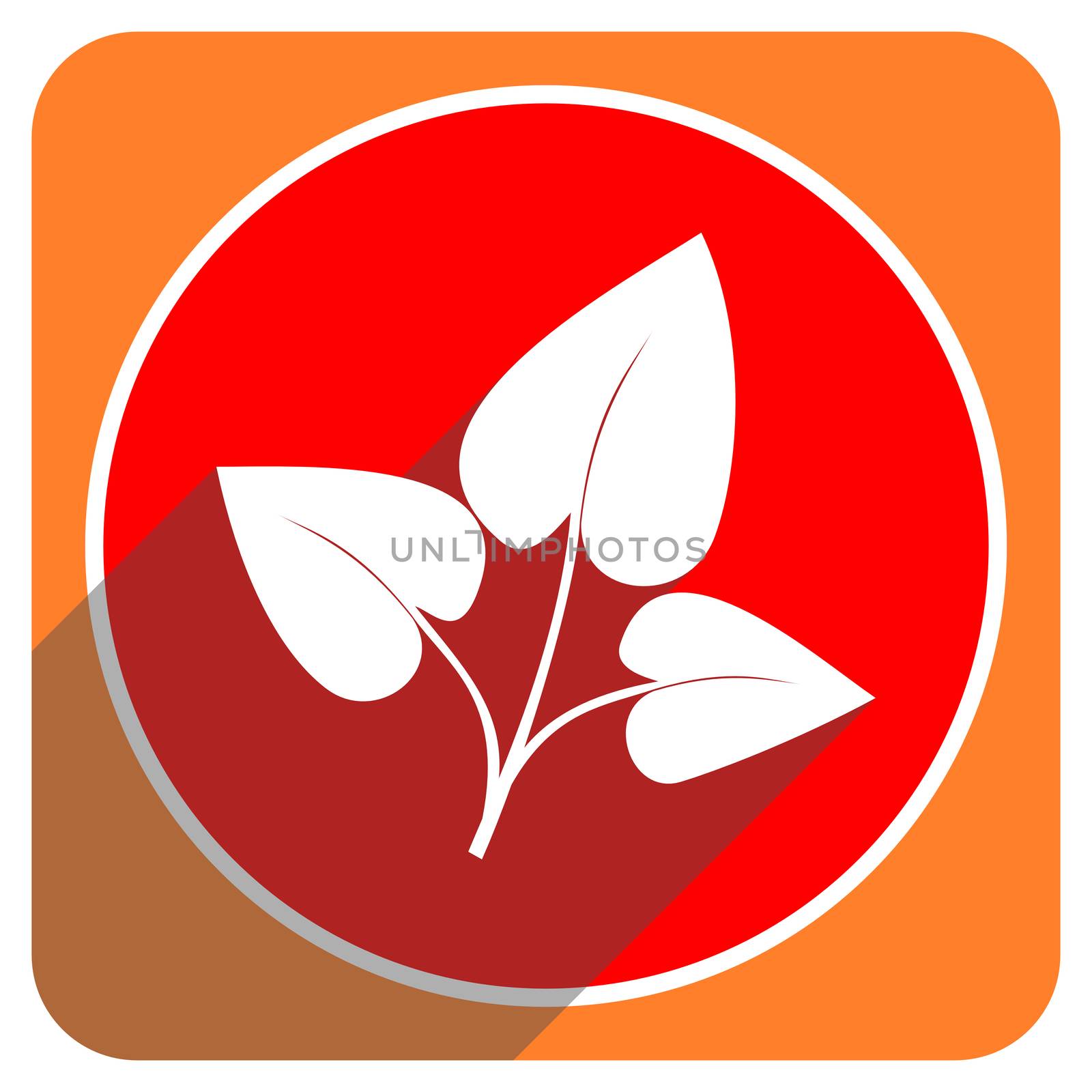 leaf red flat icon isolated