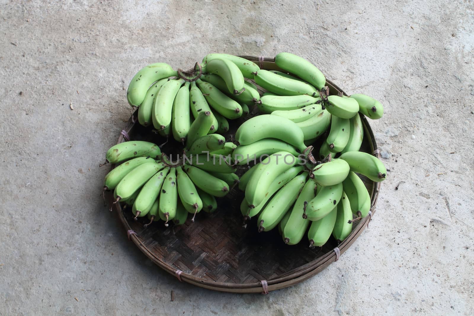 Four groups of unripe banana are in the pannier.