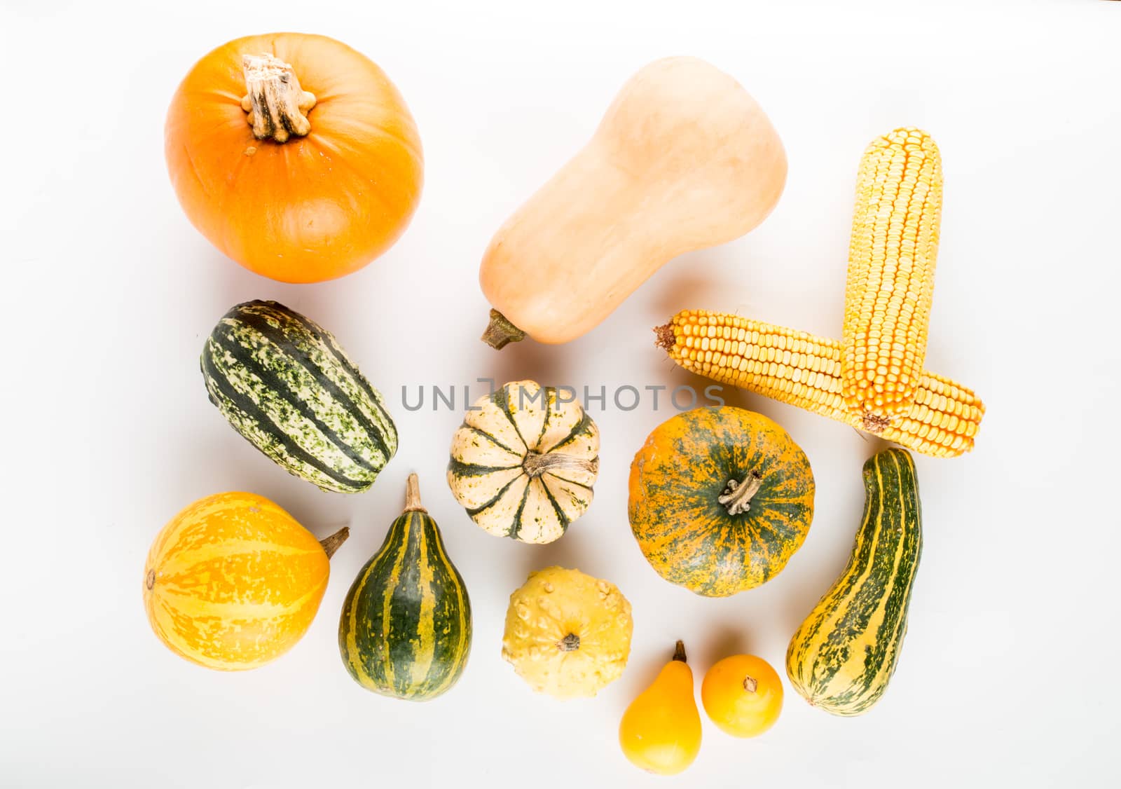 Fresh pumpkins isolated on white background