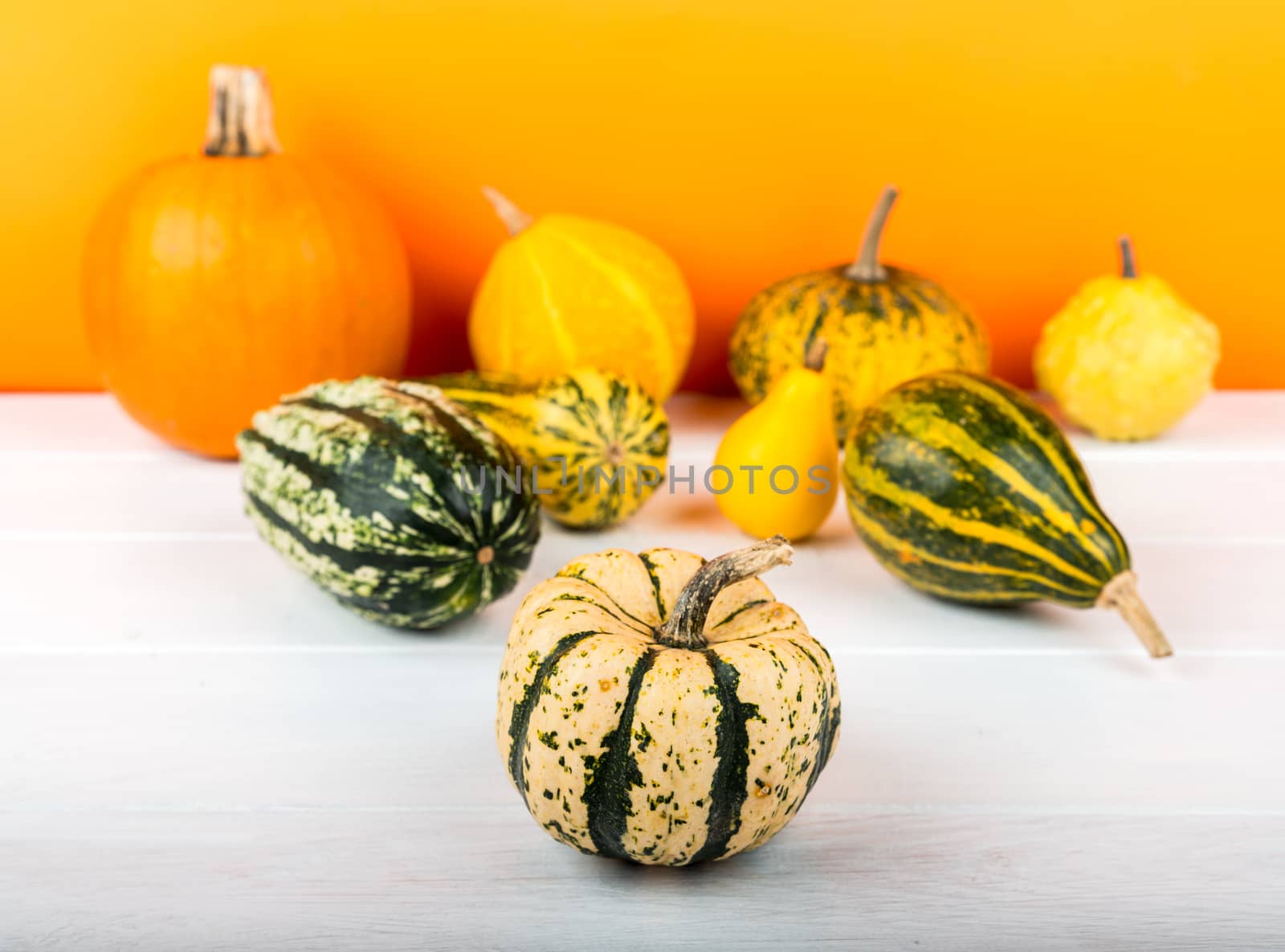 Fresh pumpkins isolated on white wooden table and orange background