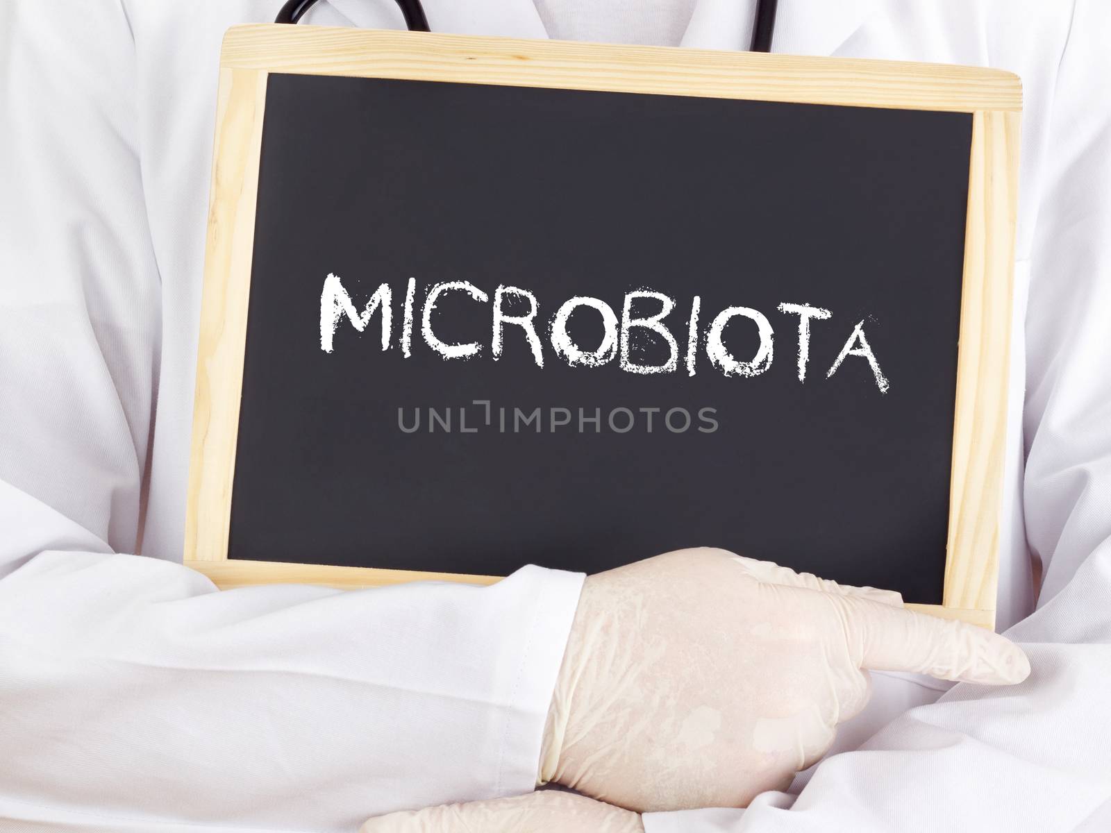 Doctor shows information: microbiota