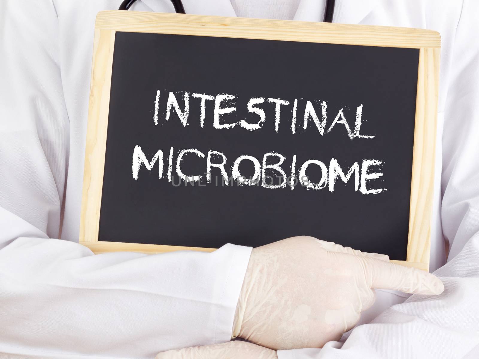 Doctor shows information: intestinal microbiome by gwolters