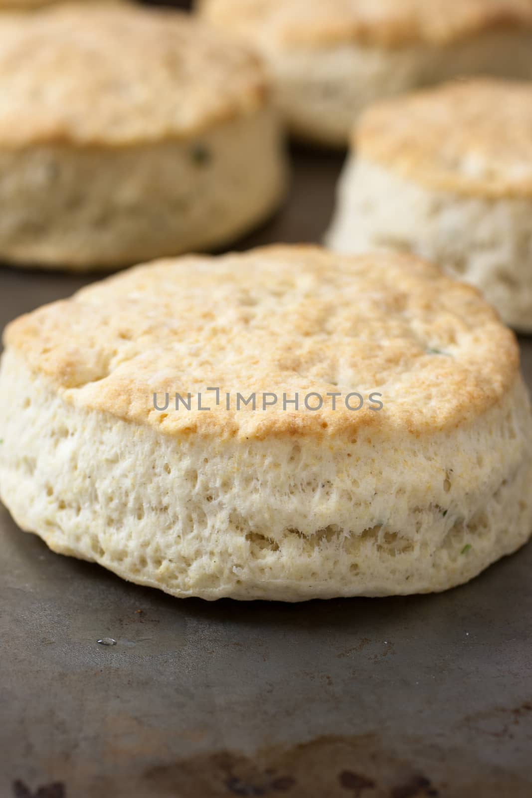 Rustic handmade biscuits sit on a metal pan after coming out of the oven.