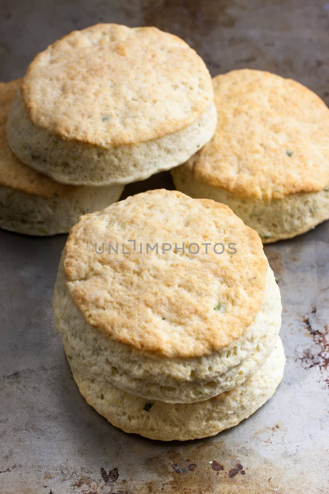 Homemade Biscuits by SouthernLightStudios