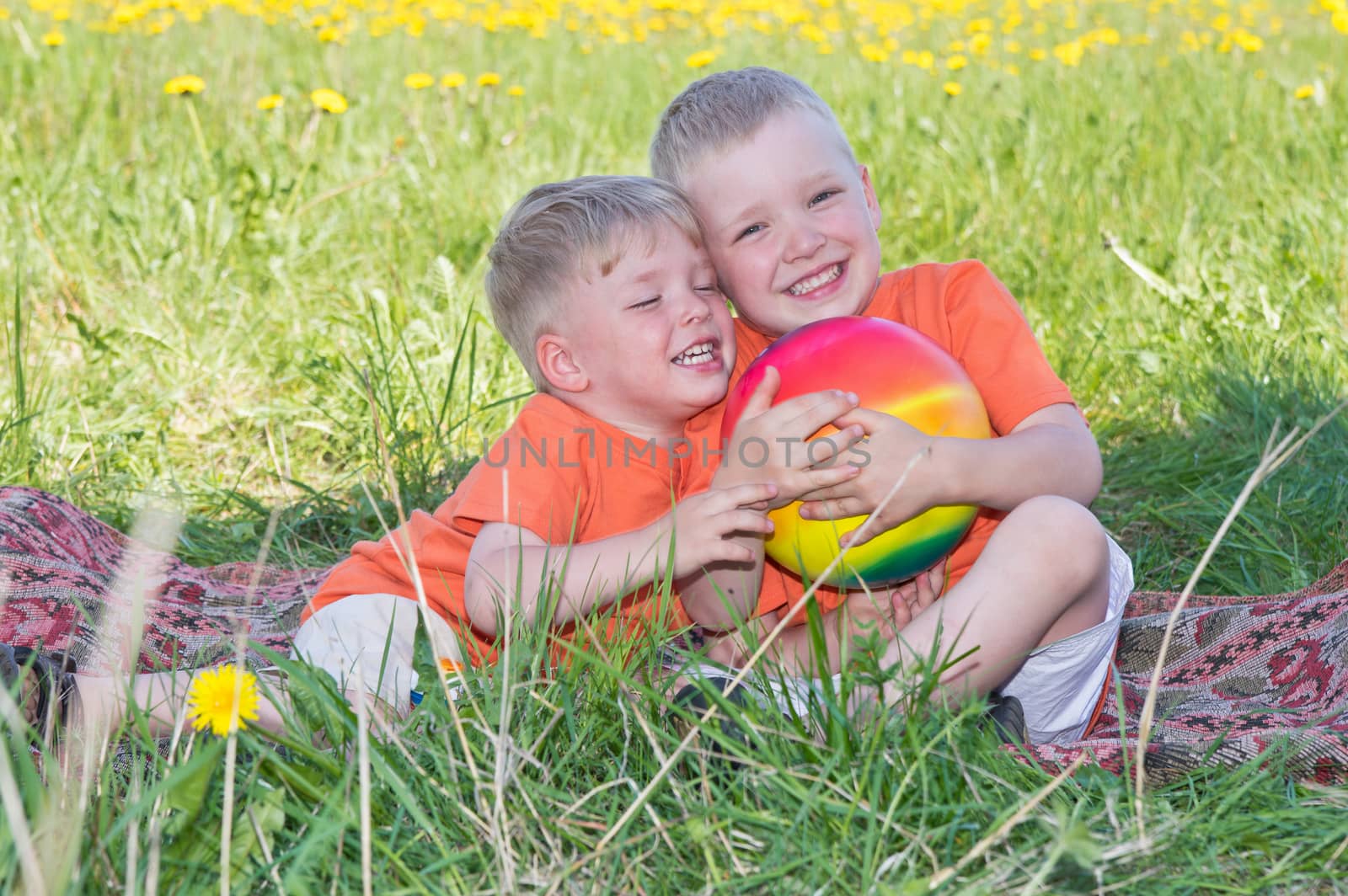 Little boys playing on meadow on sunny day