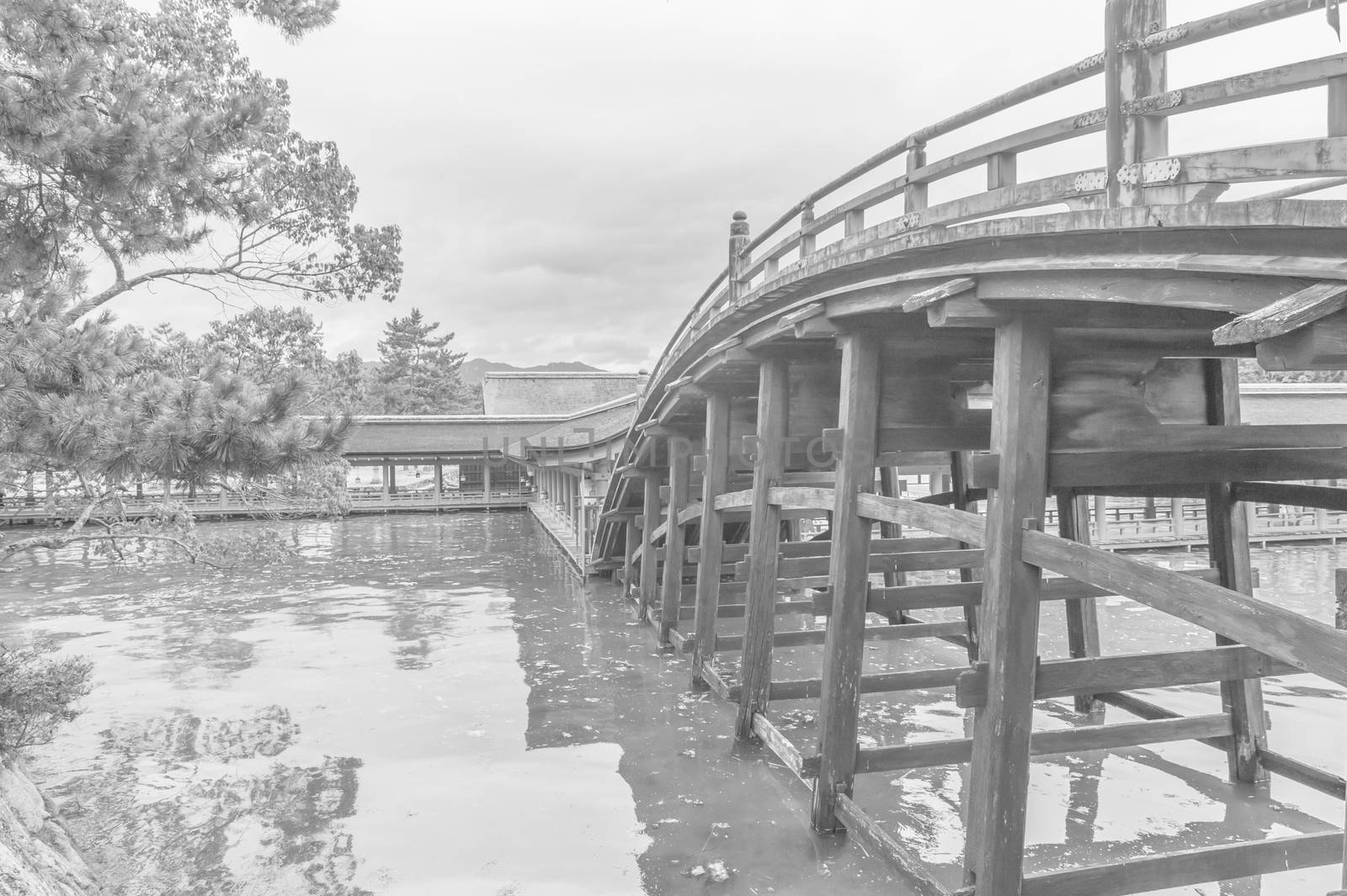 Japanese Bridge by fyletto