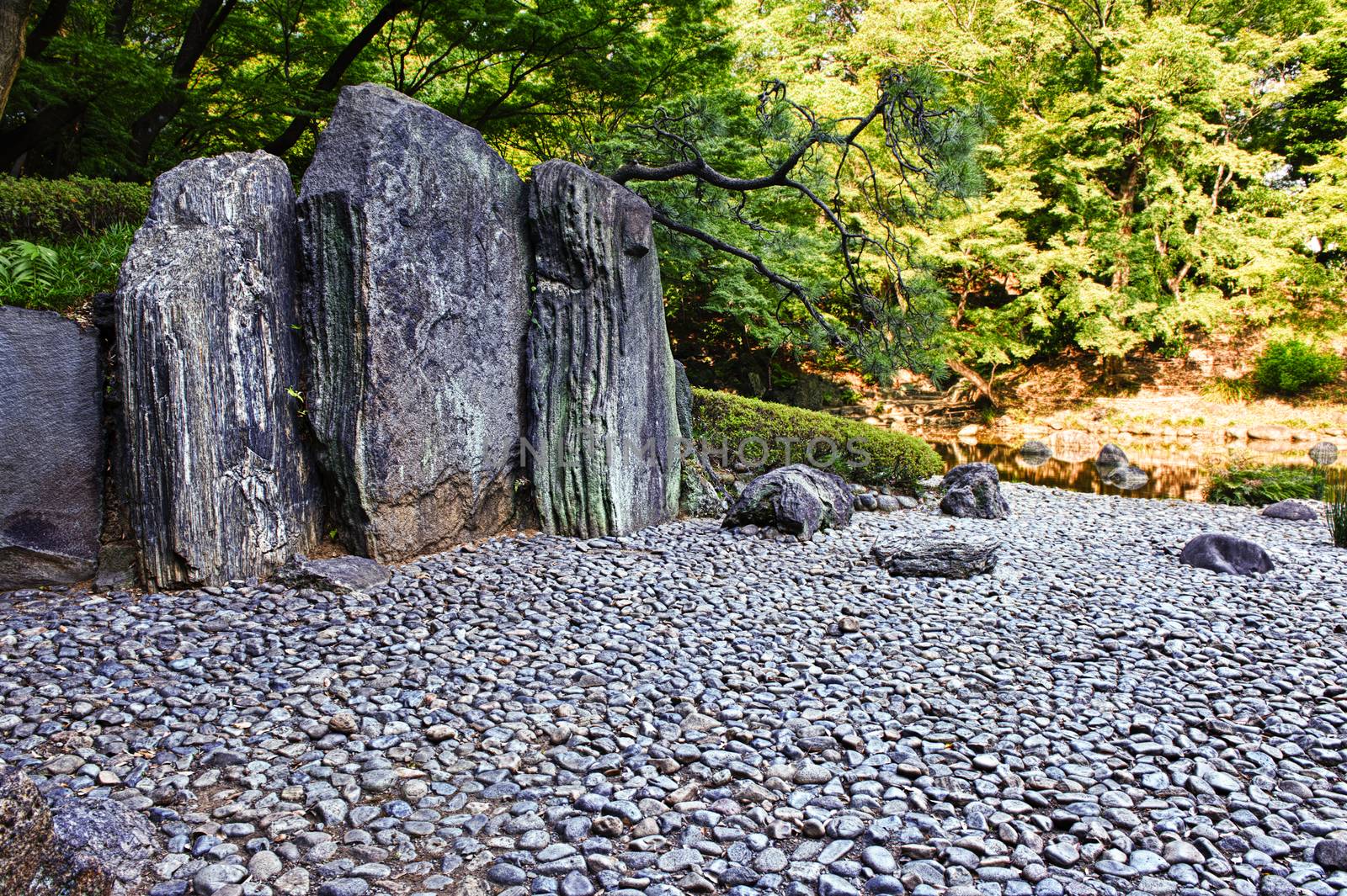 Zen stone path in a Japanese Garden Korakuen. Koishikawa Korakuen is one of oldest Japanese gardens in Tokyo. Japan, HDR
