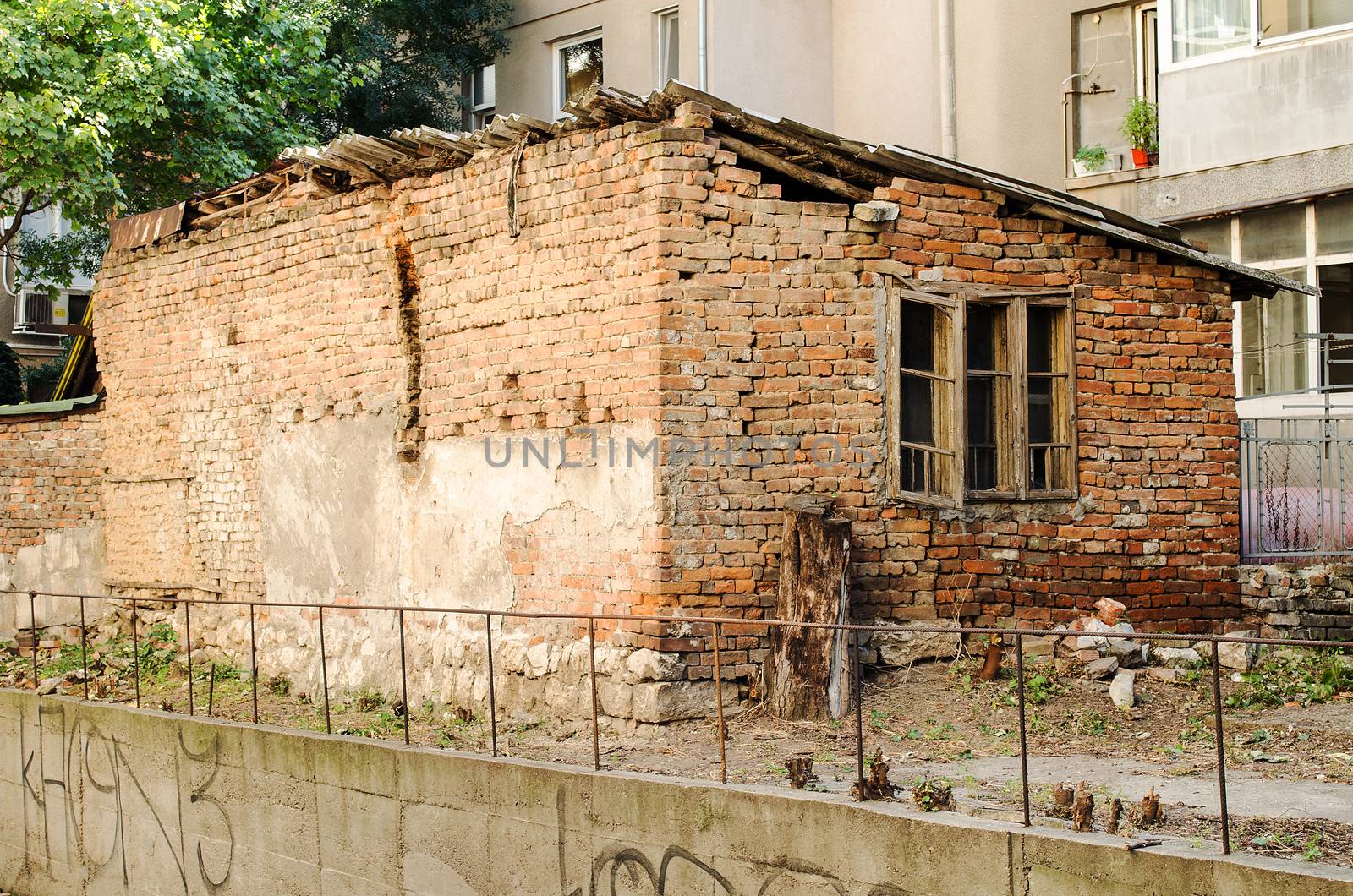 Old wall with broken window and tree