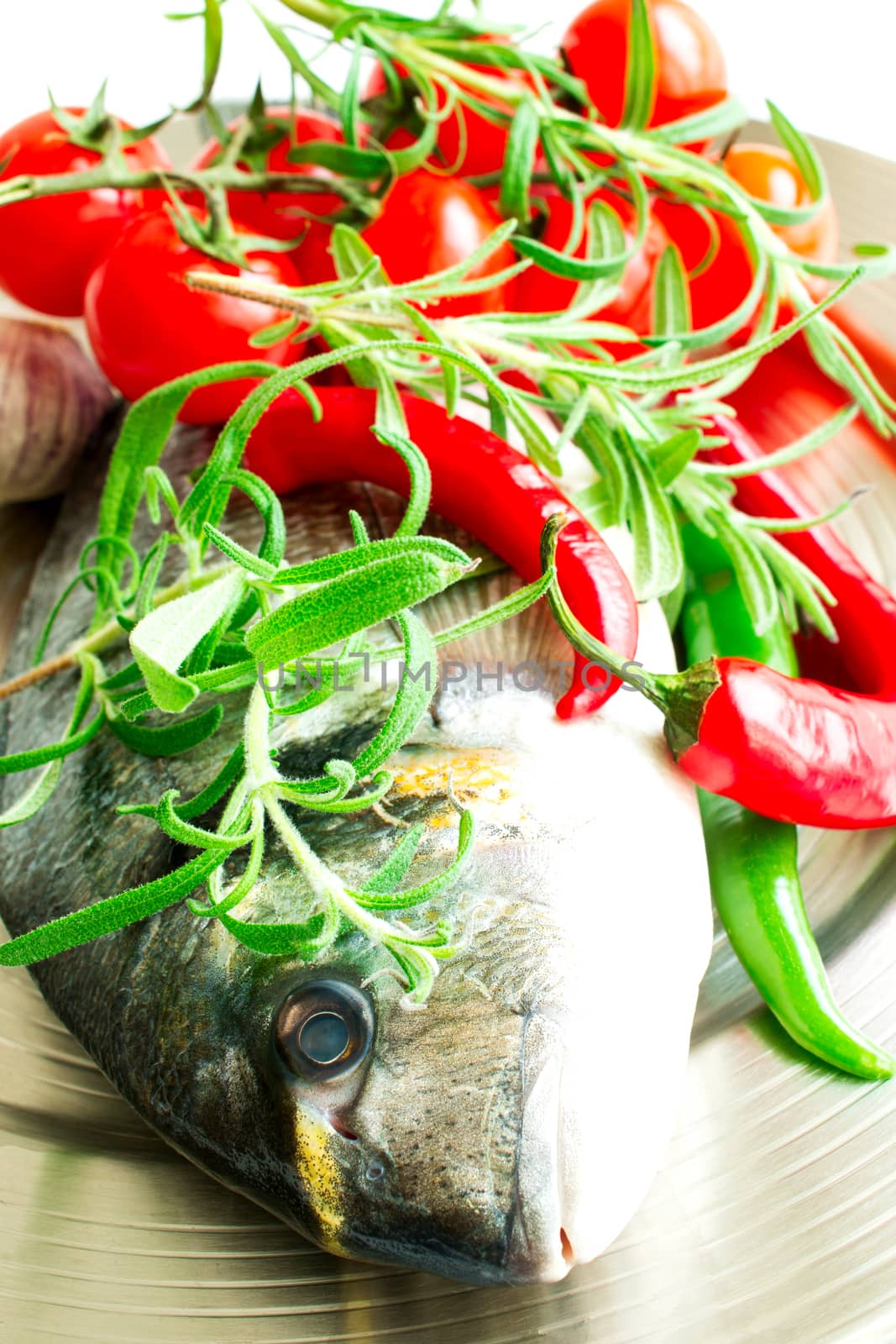 Fresh raw Dorada fish with fresh rosemary herb, garlic, chili peppers and cherry tomatoes on a metal plate
