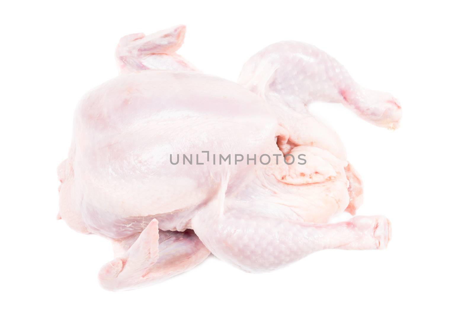 Raw chicken isolated close up by Nanisimova