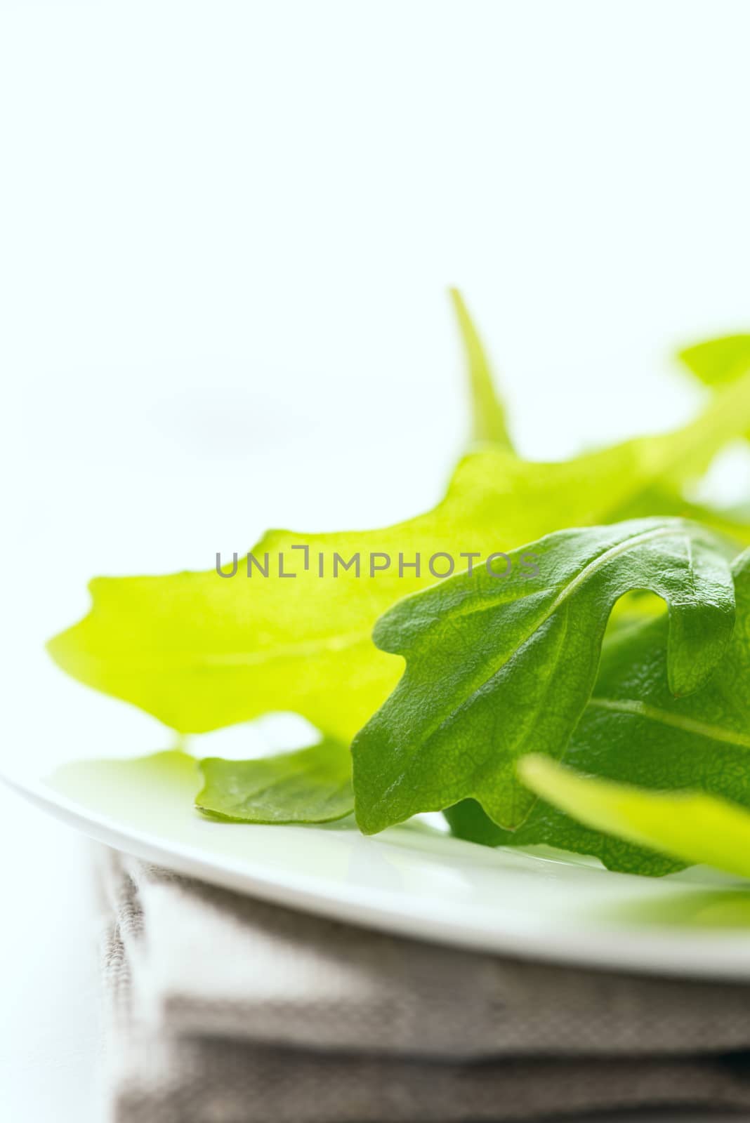 Fresh arugula leaves in white plate on table cloth. Selective focus. Shallow DOF