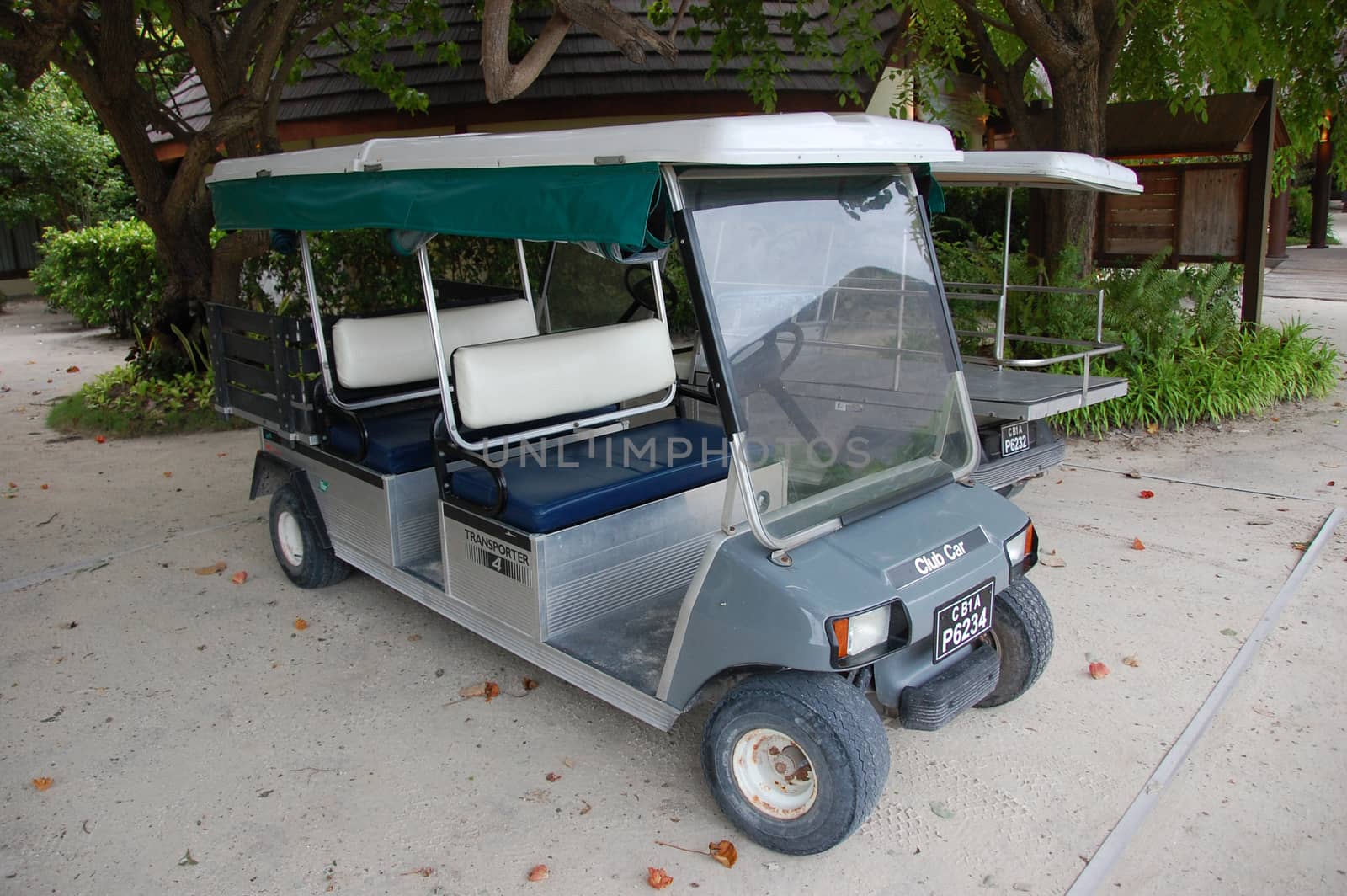 Electric golf car at Maldives by danemo