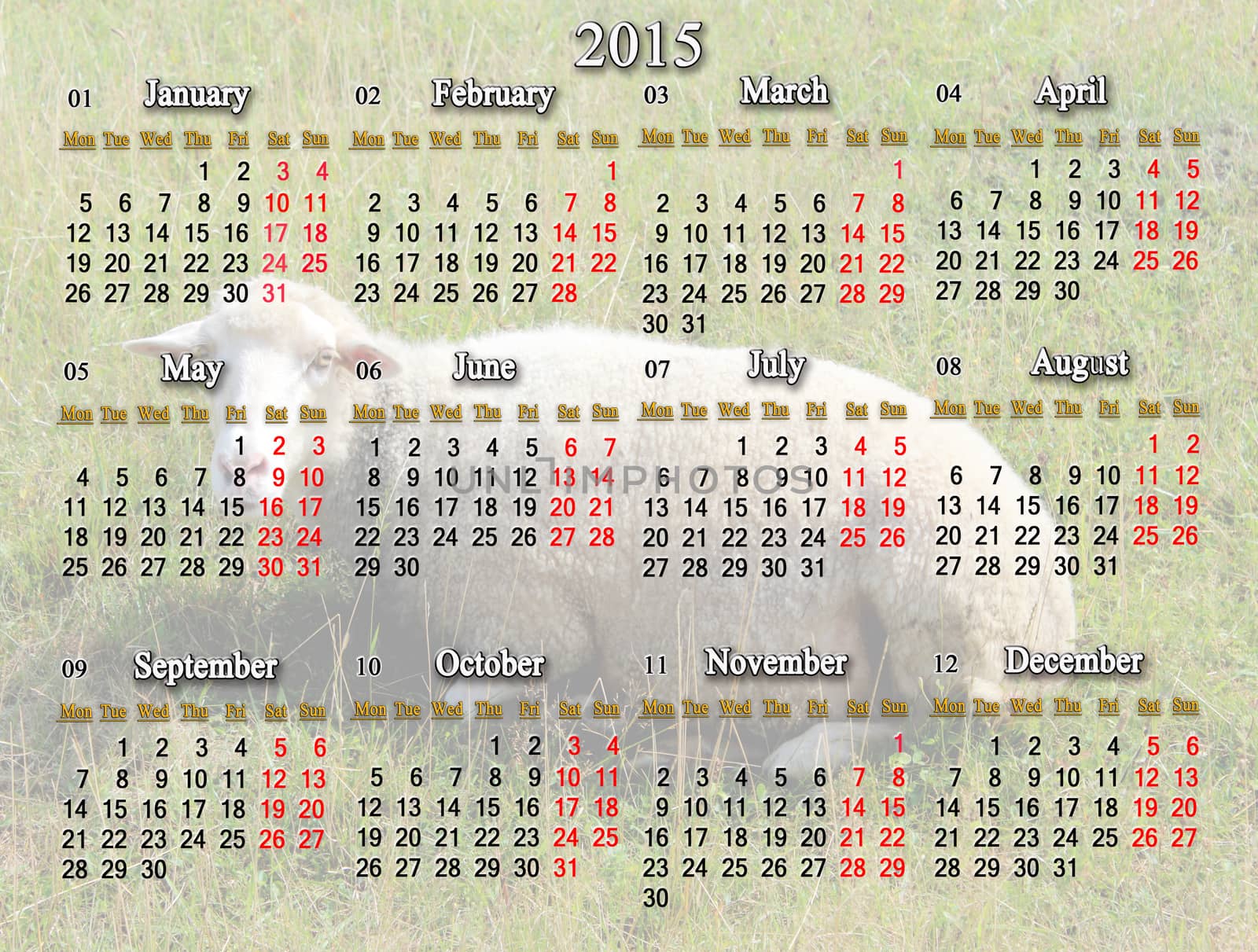 calendar for 2015 year with sheep on the background by alexmak