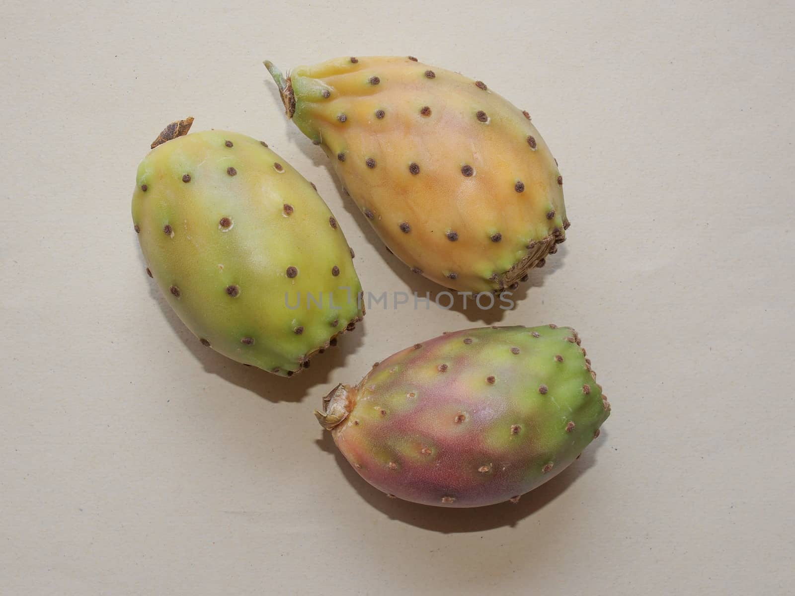 Opuntia ficus-indica - useful as healthy food concept