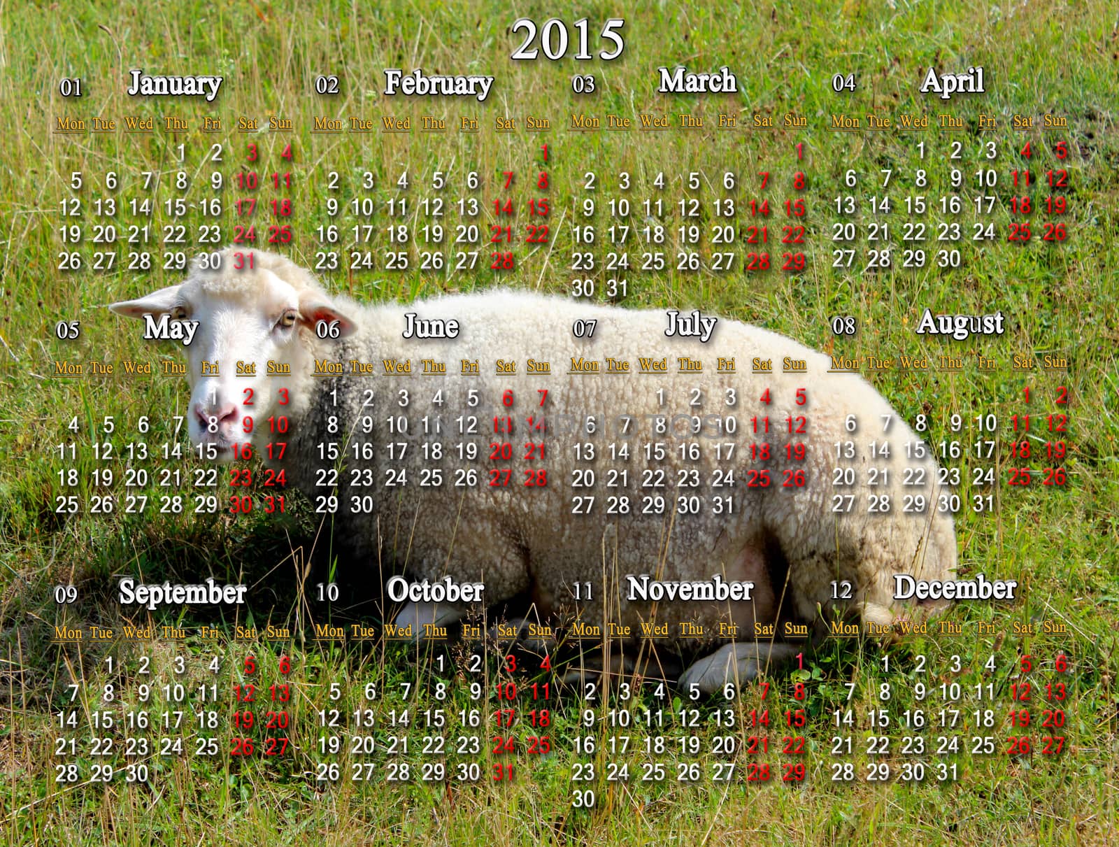 calendar for 2015 year with sheep on the background by alexmak
