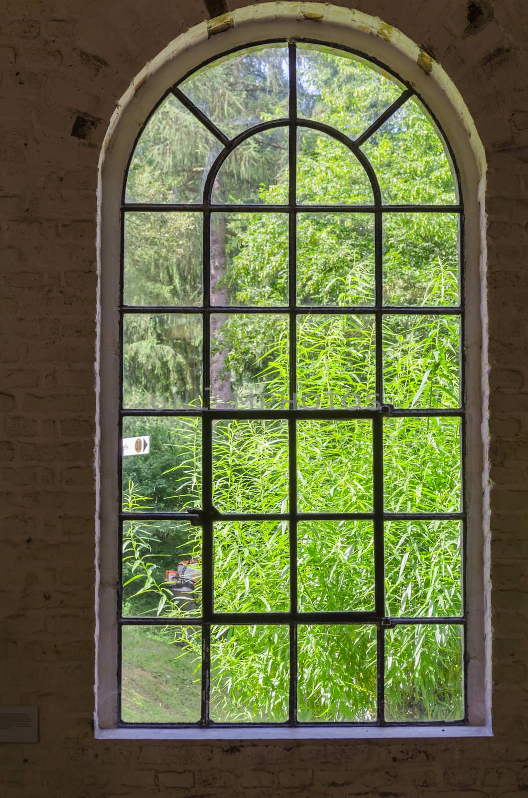 Iron, steel, sprout, plant window by JFsPic