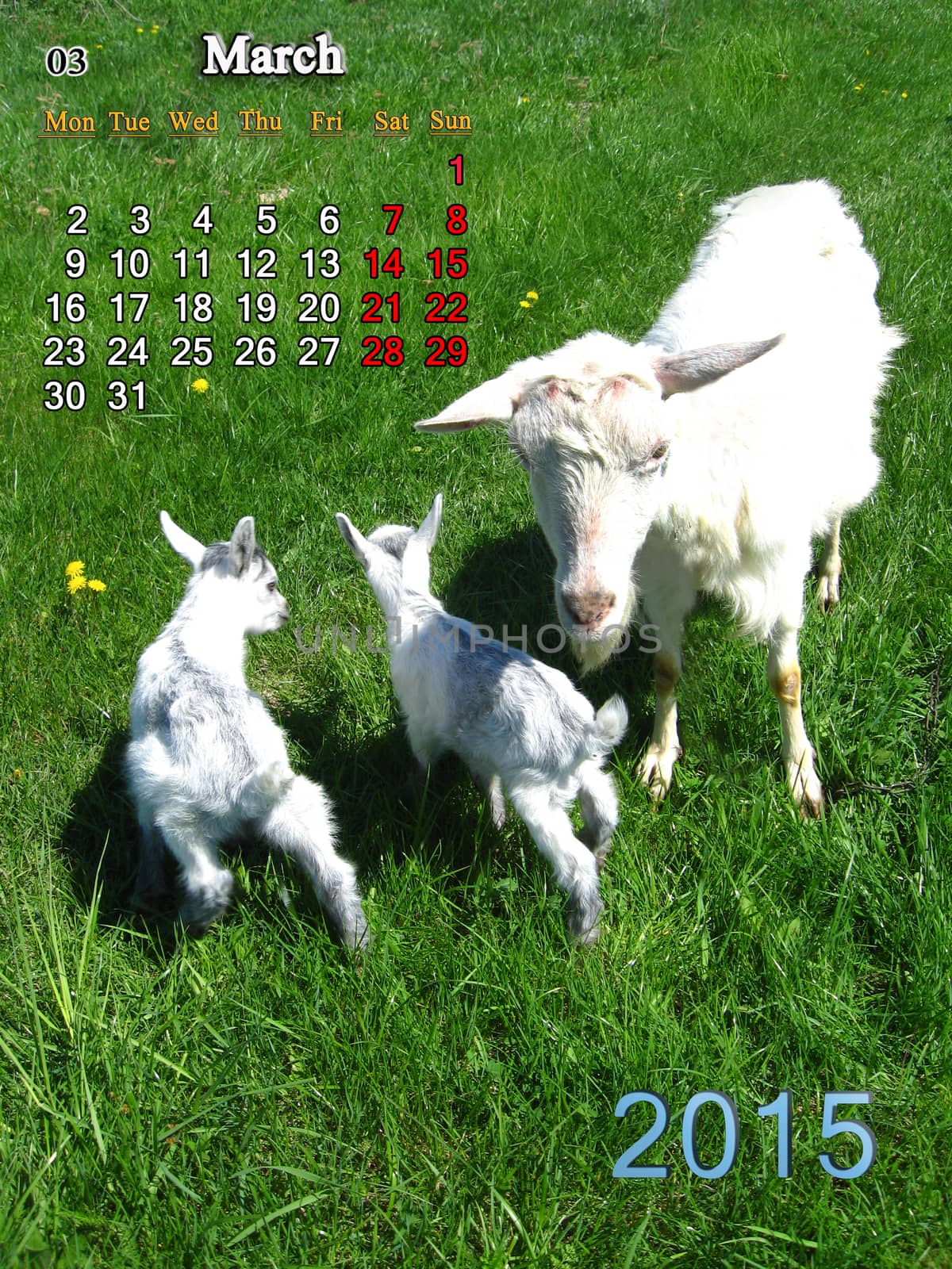 beautiful calendar for March of 2015 year with goat and kids