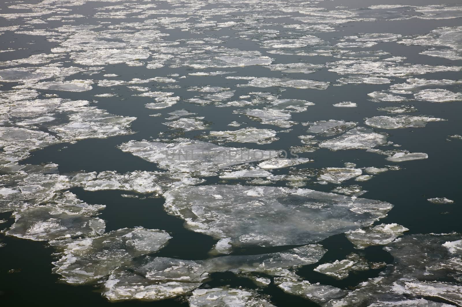 Ice sheets floating on the river