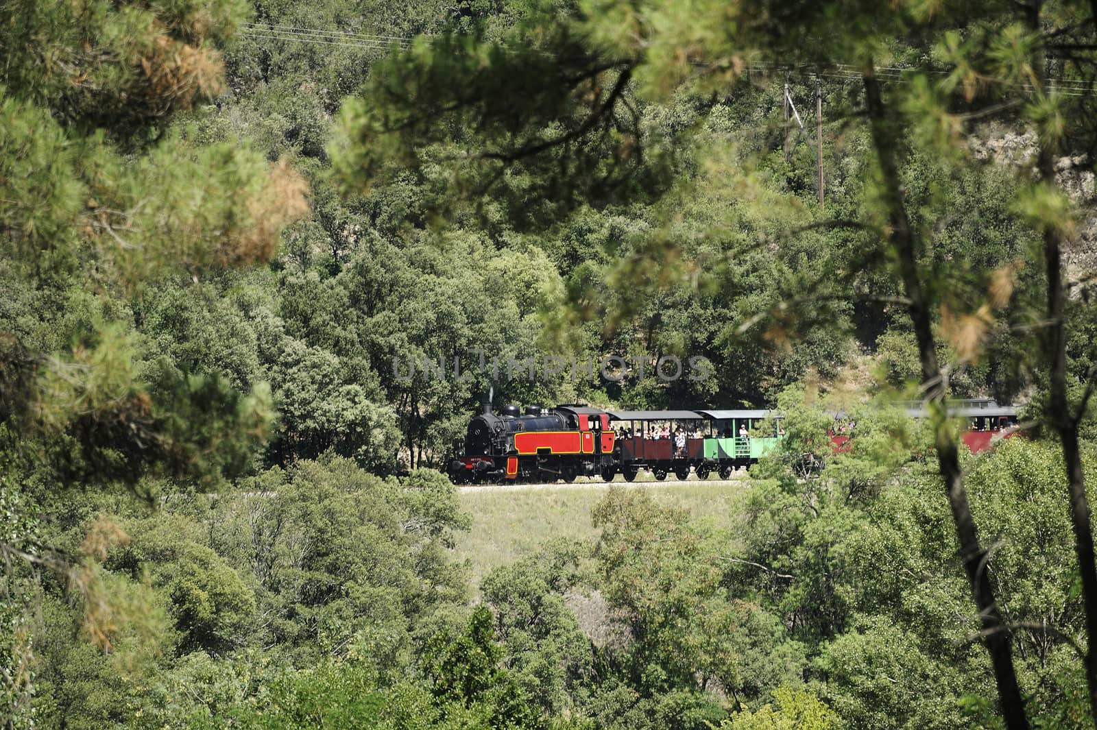 Little tourist steam train from Anduze going to Saint-Jean-du-Gard and just passed the viaduct Corbes
