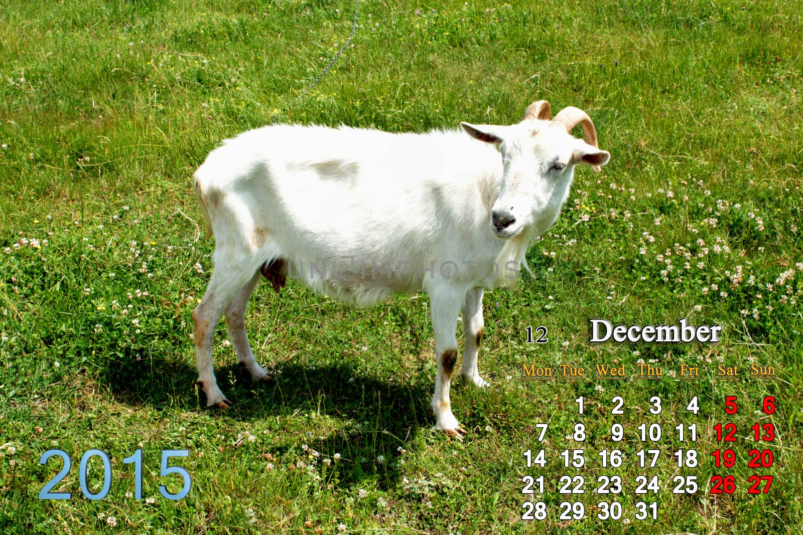 calendar for December of 2015 year with goat by alexmak
