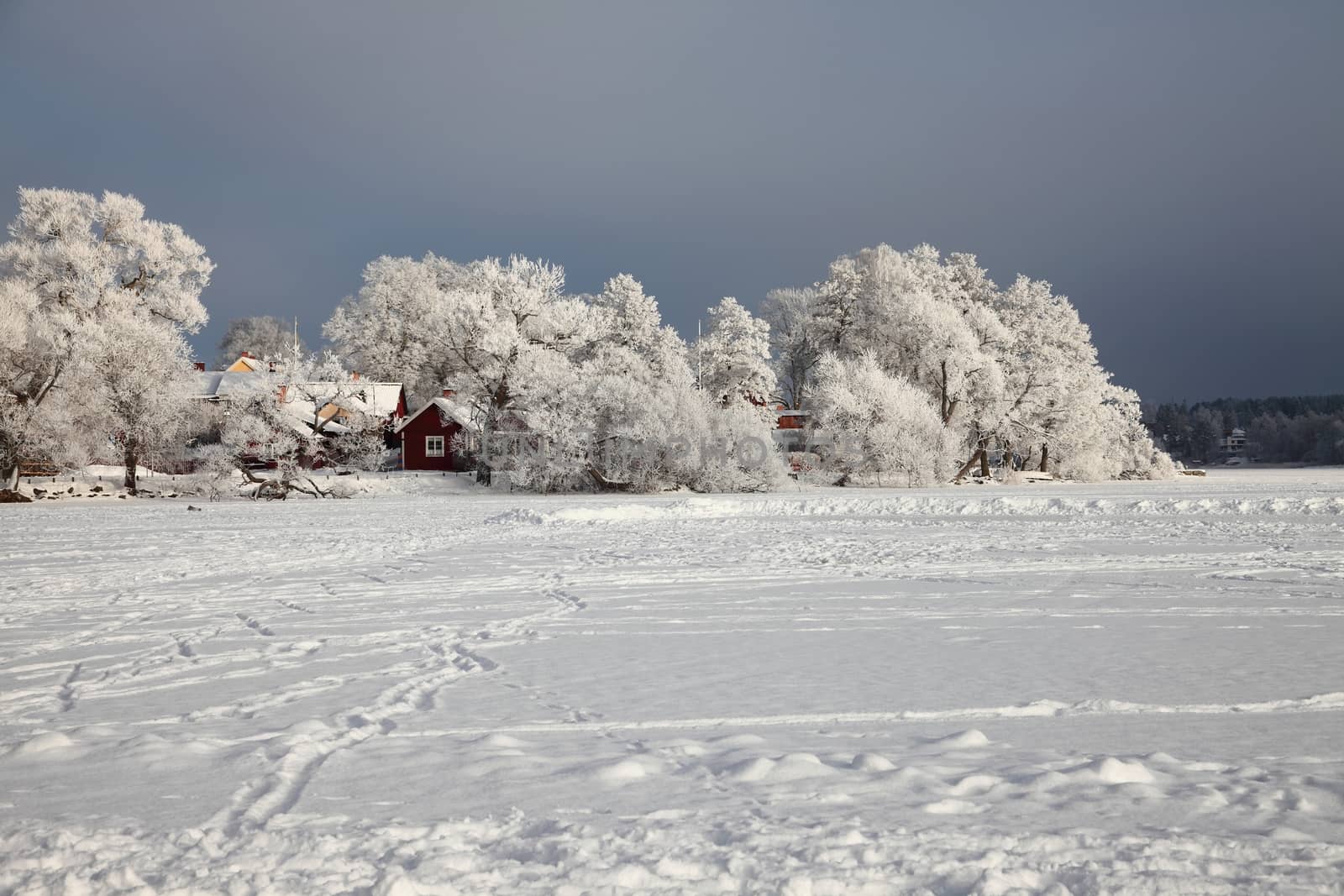 Winter landscape with frozen lake