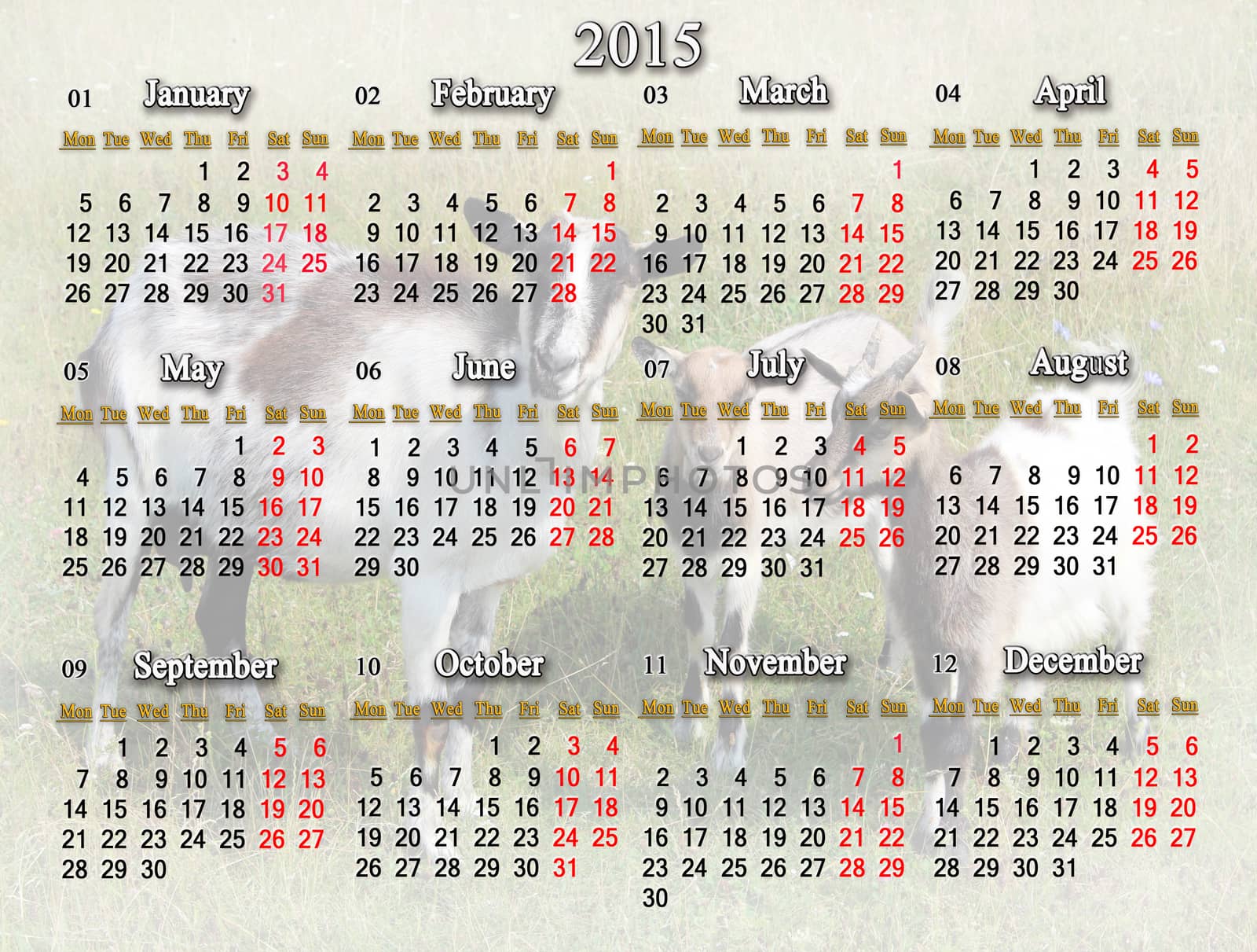 calendar for 2015 year with goat and two kids by alexmak