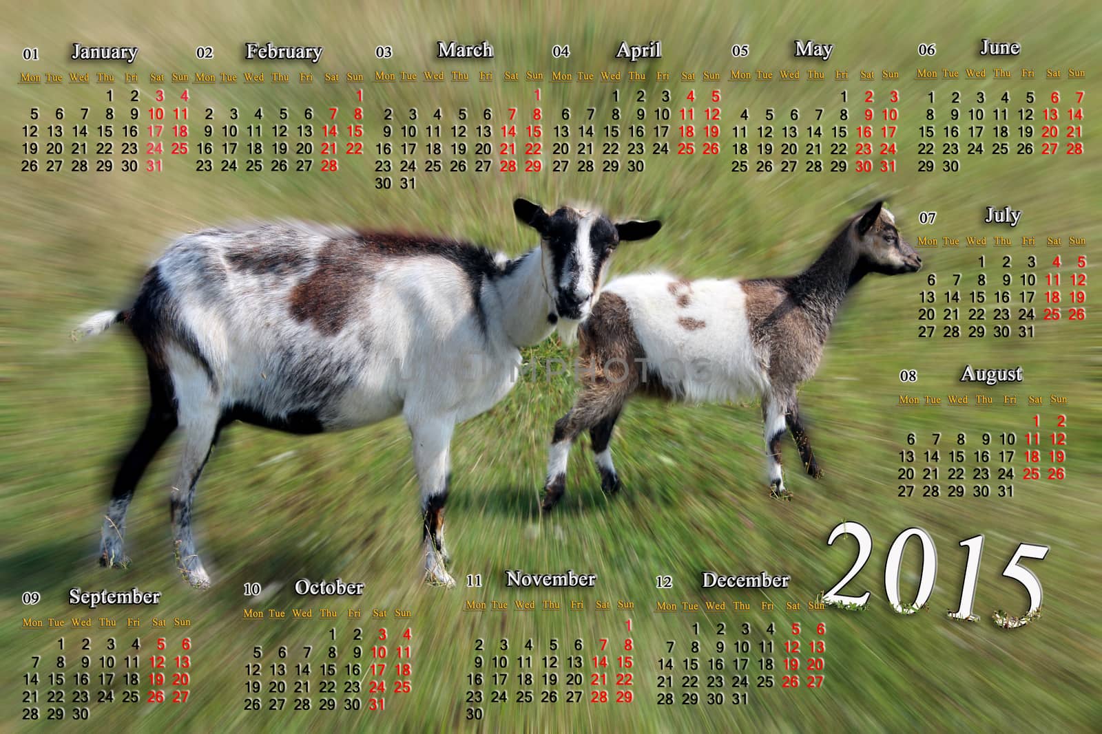 beautiful calendar for 2015 year with goats on the pasture