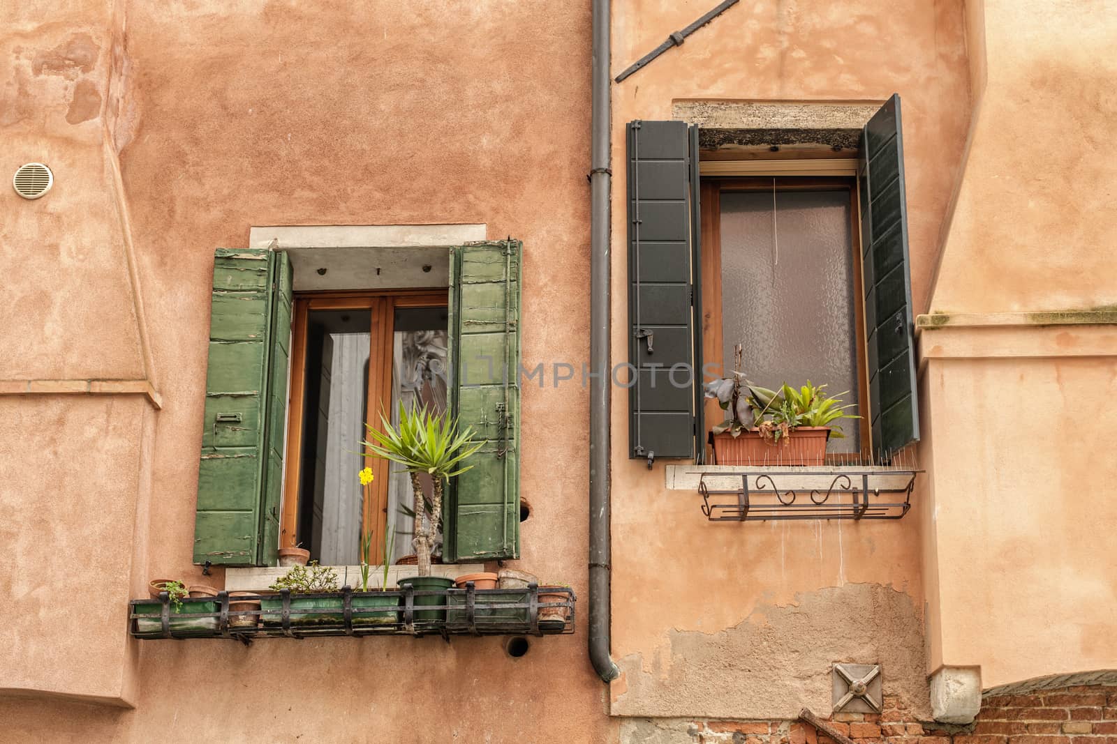 Windows of old house in Venice by pencap