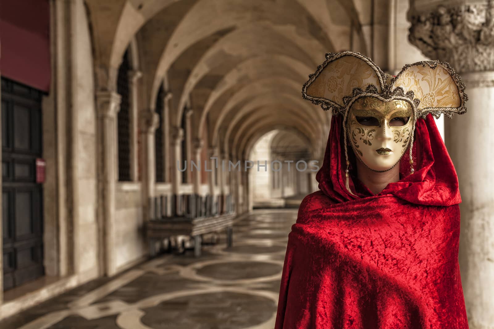 Beautiful Woman in Mysterious Mask, The Carnival of Venice 