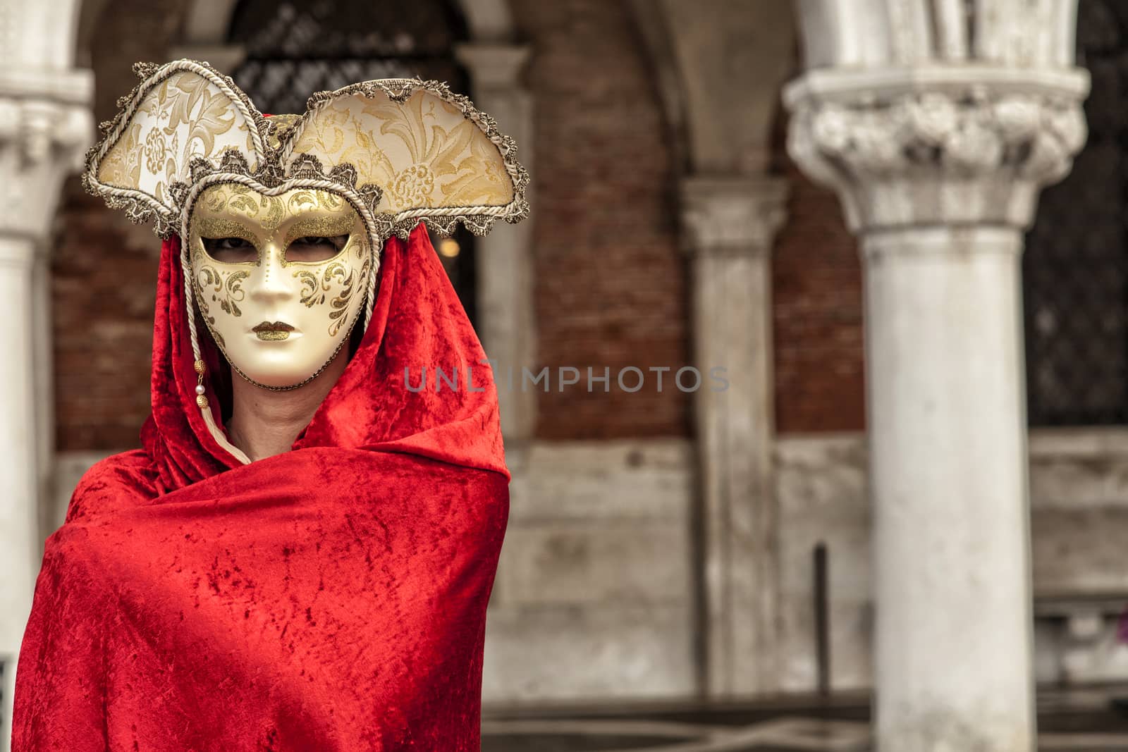 Beautiful Woman in Mysterious Mask, The Carnival of Venice
