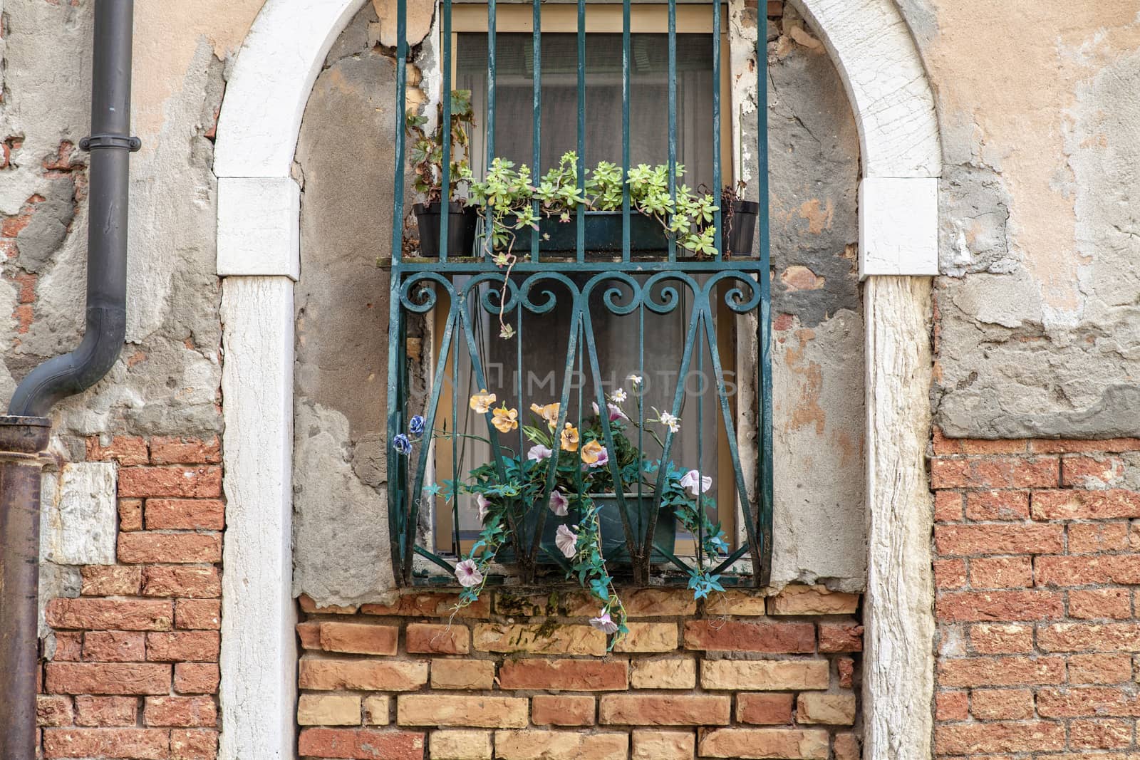 Windows of old house in Venice Italy