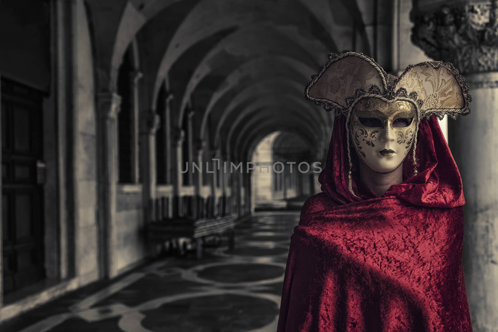 Beautiful Woman in Mysterious Mask by pencap