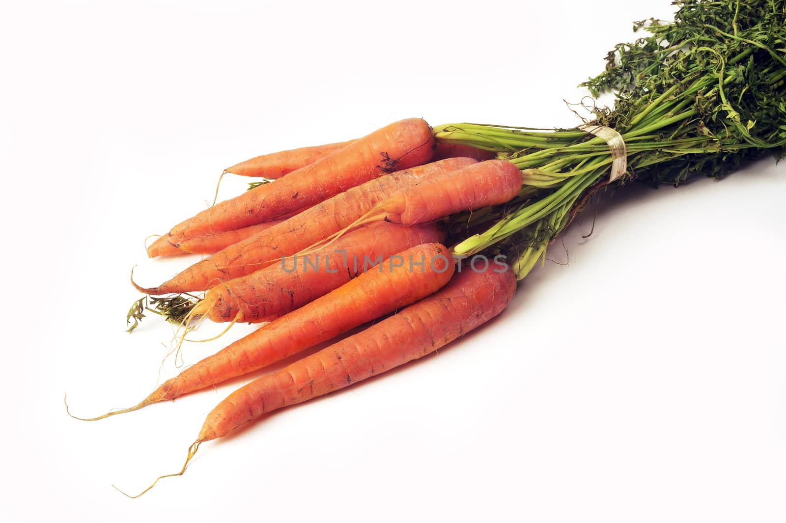 isolated on white background in studio carrots