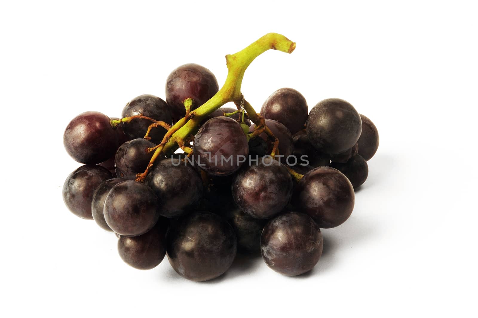 isolated on white background in studio grapes by gillespaire