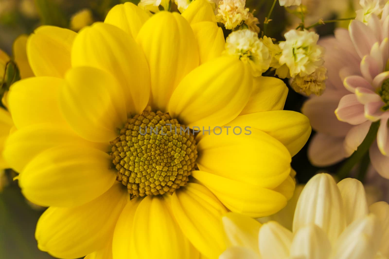 Yellow flower close-up on a background of other flowers in a bouquet