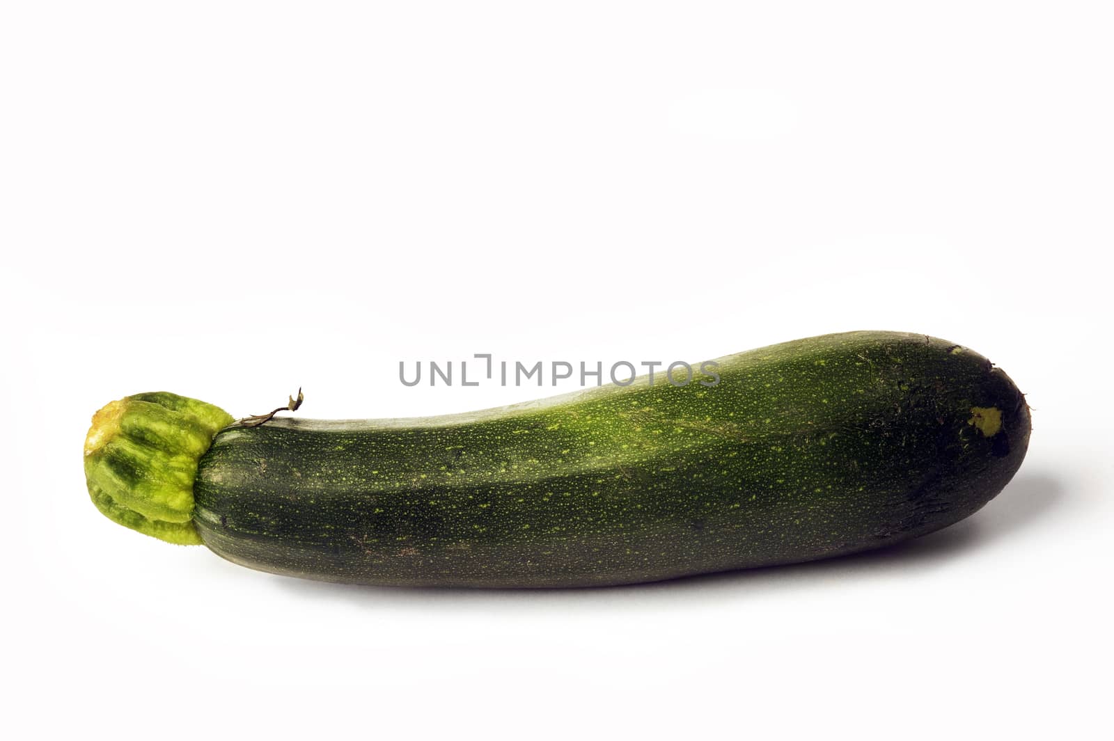 isolated on white background in studio zucchini