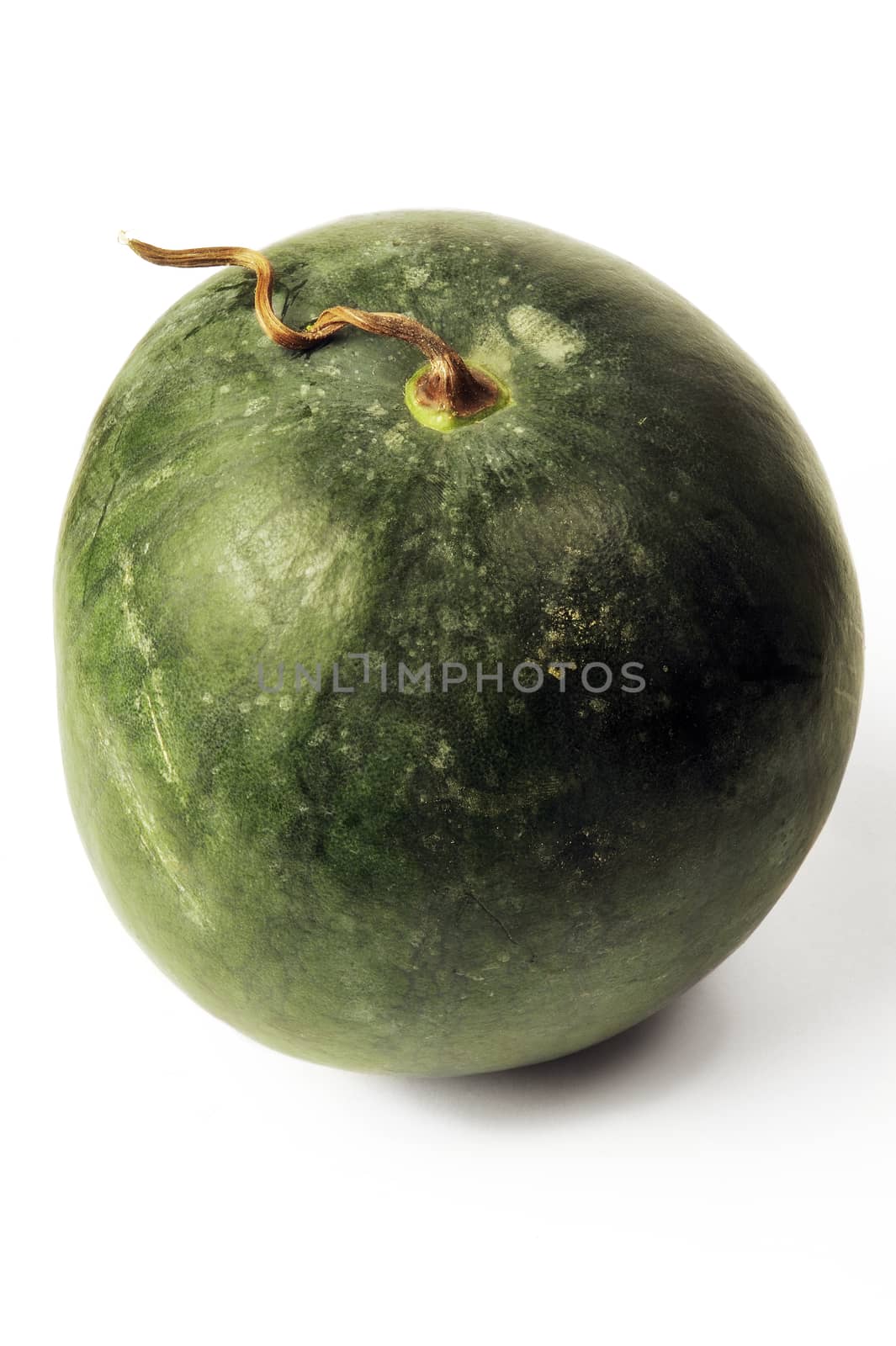 isolated on white background in studio watermelon