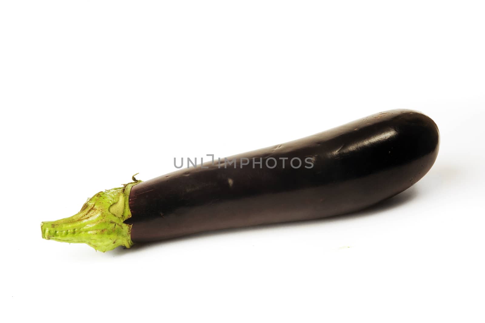 isolated on white background in studio eggplant