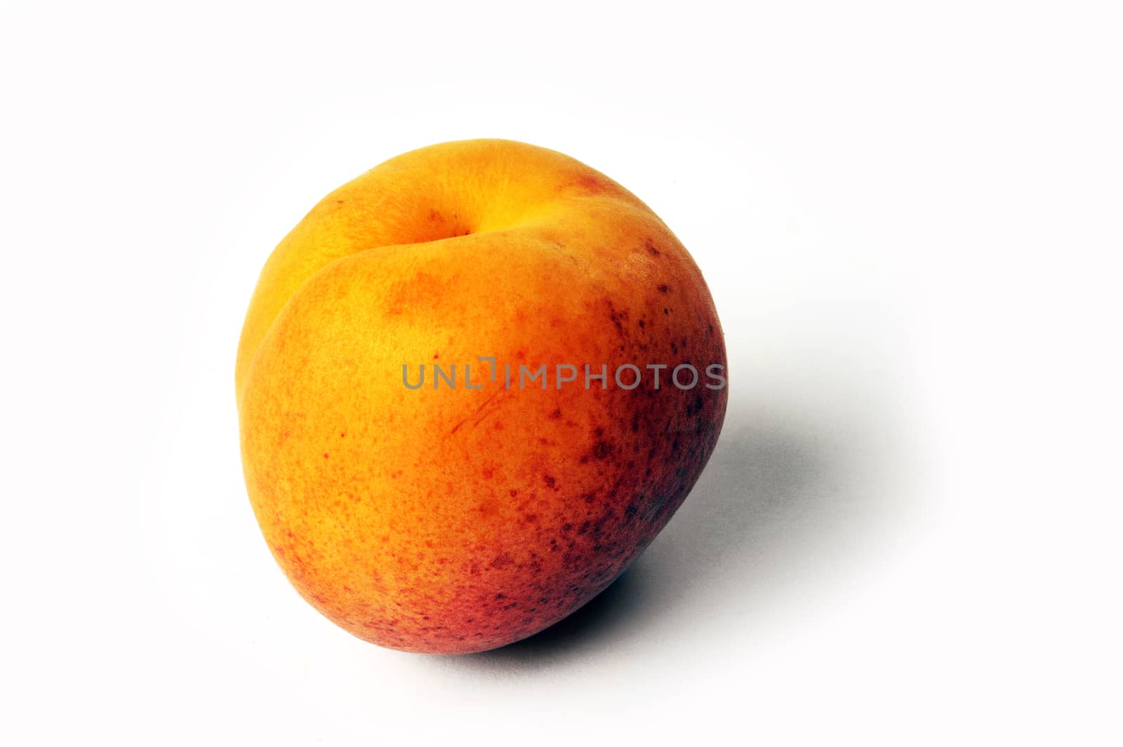 isolated on white background in studio apricot by gillespaire