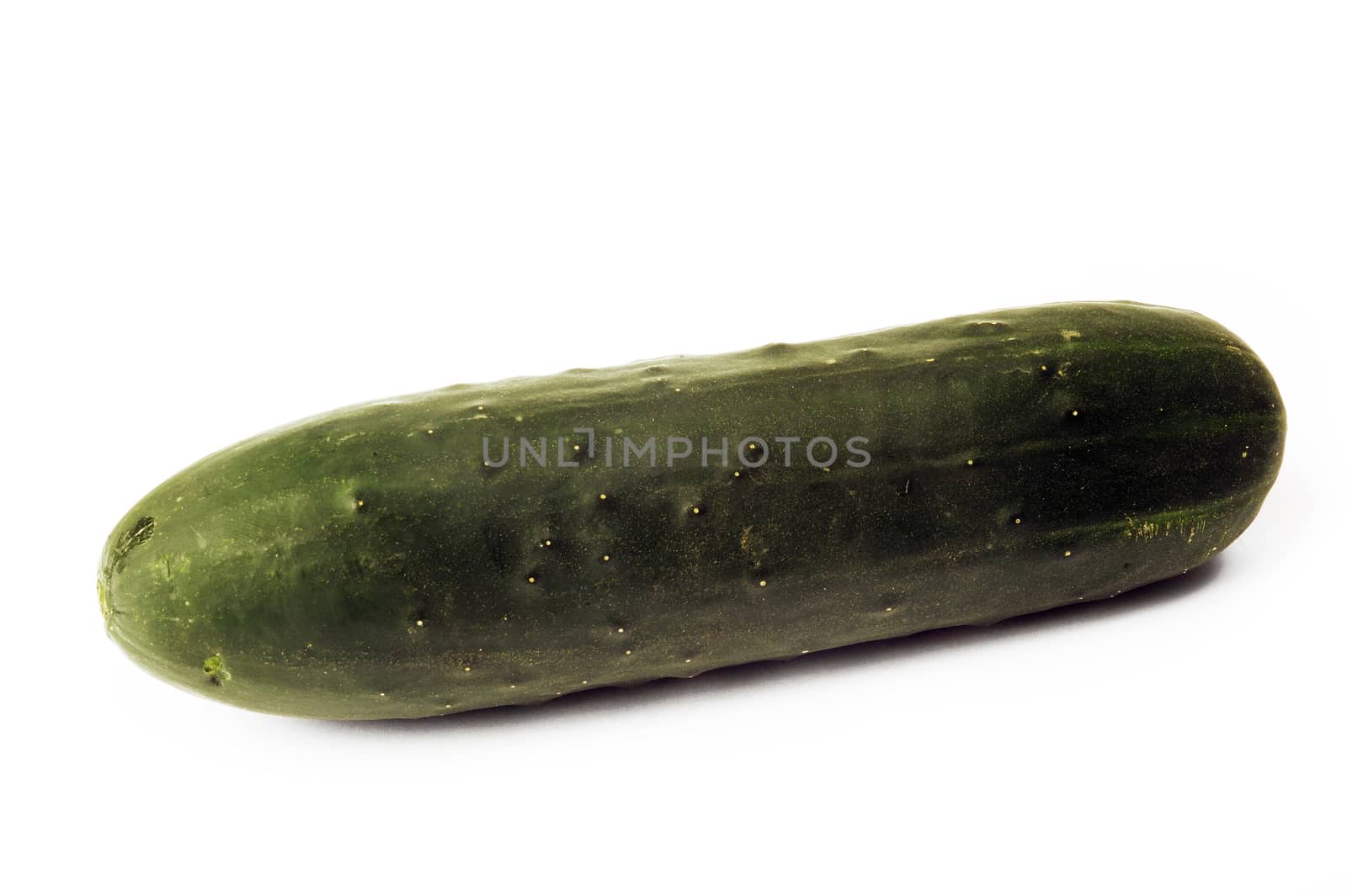 isolated on white background in studio cucumber